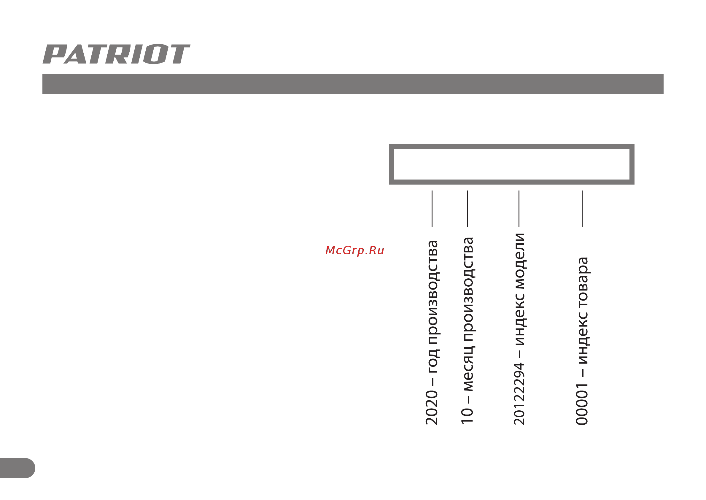 Patriot AG 100Li [11/11] 2020 10 20122294 00001