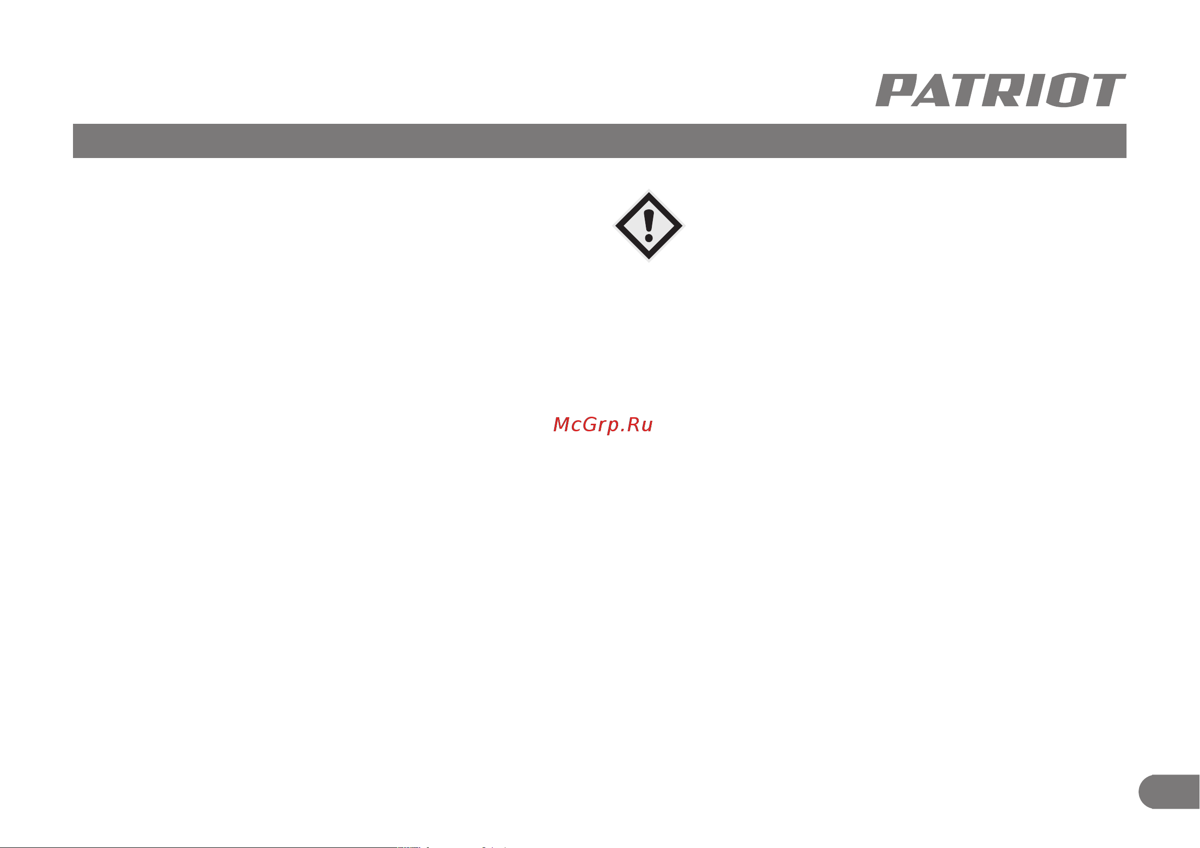 Patriot PE 1001UES 426302214 [6/19] Техника безопасности