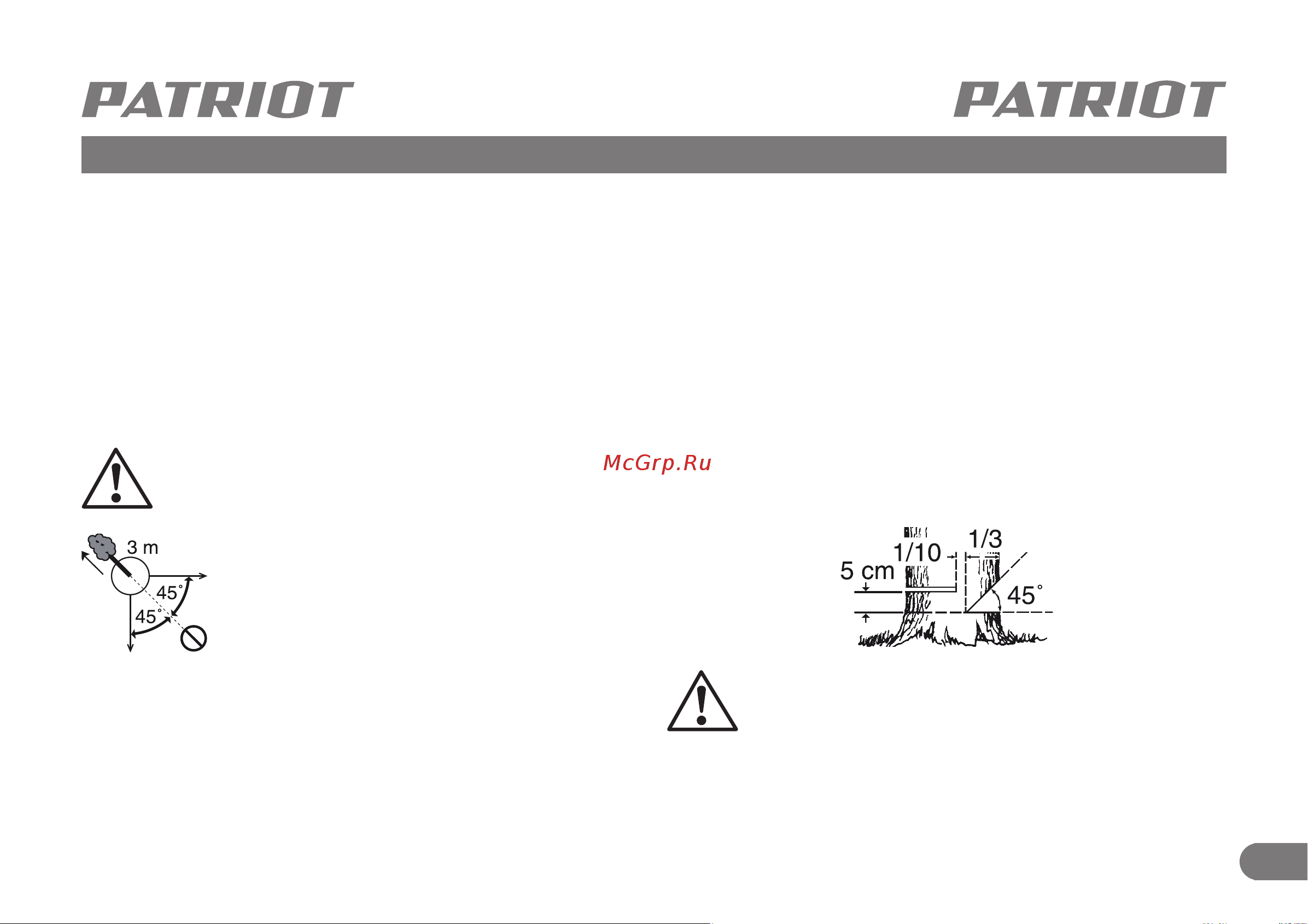 Patriot PT 3816 Imperial [18/27] Техническое обслуживание