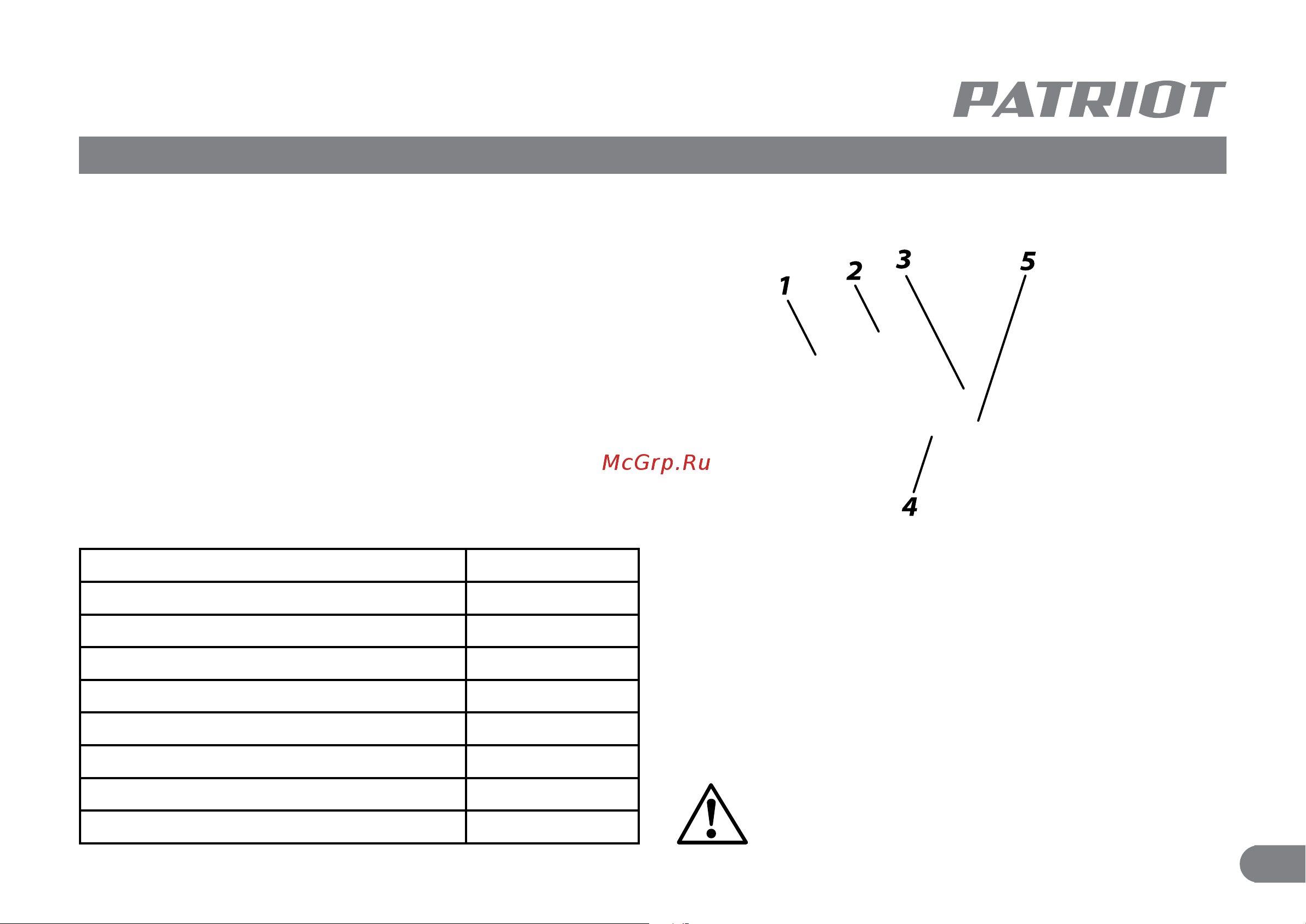 Patriot FS 301 Инструкция онлайн [4/9] 689976