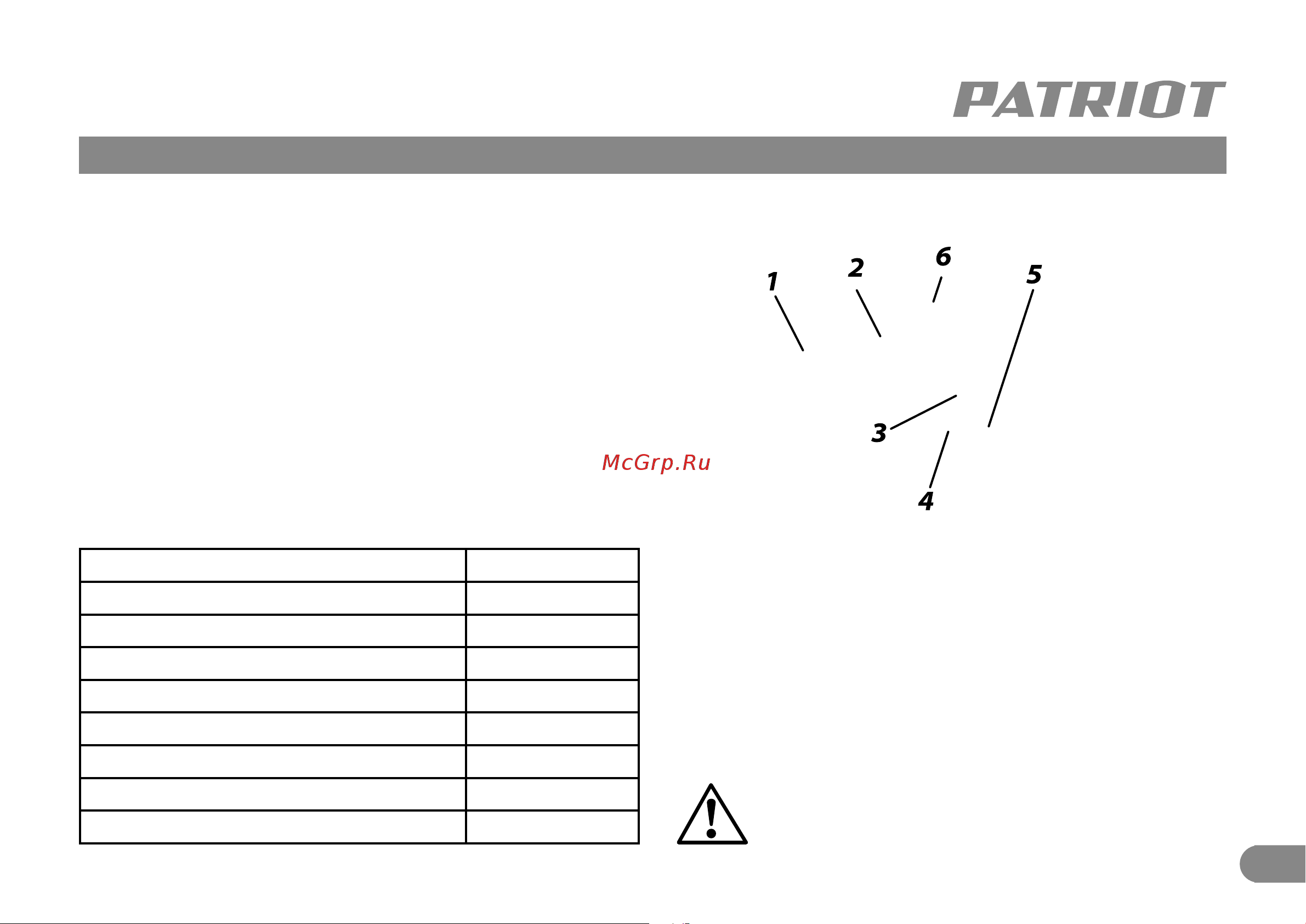 Patriot FS 303 Инструкция онлайн [5/10] 689977