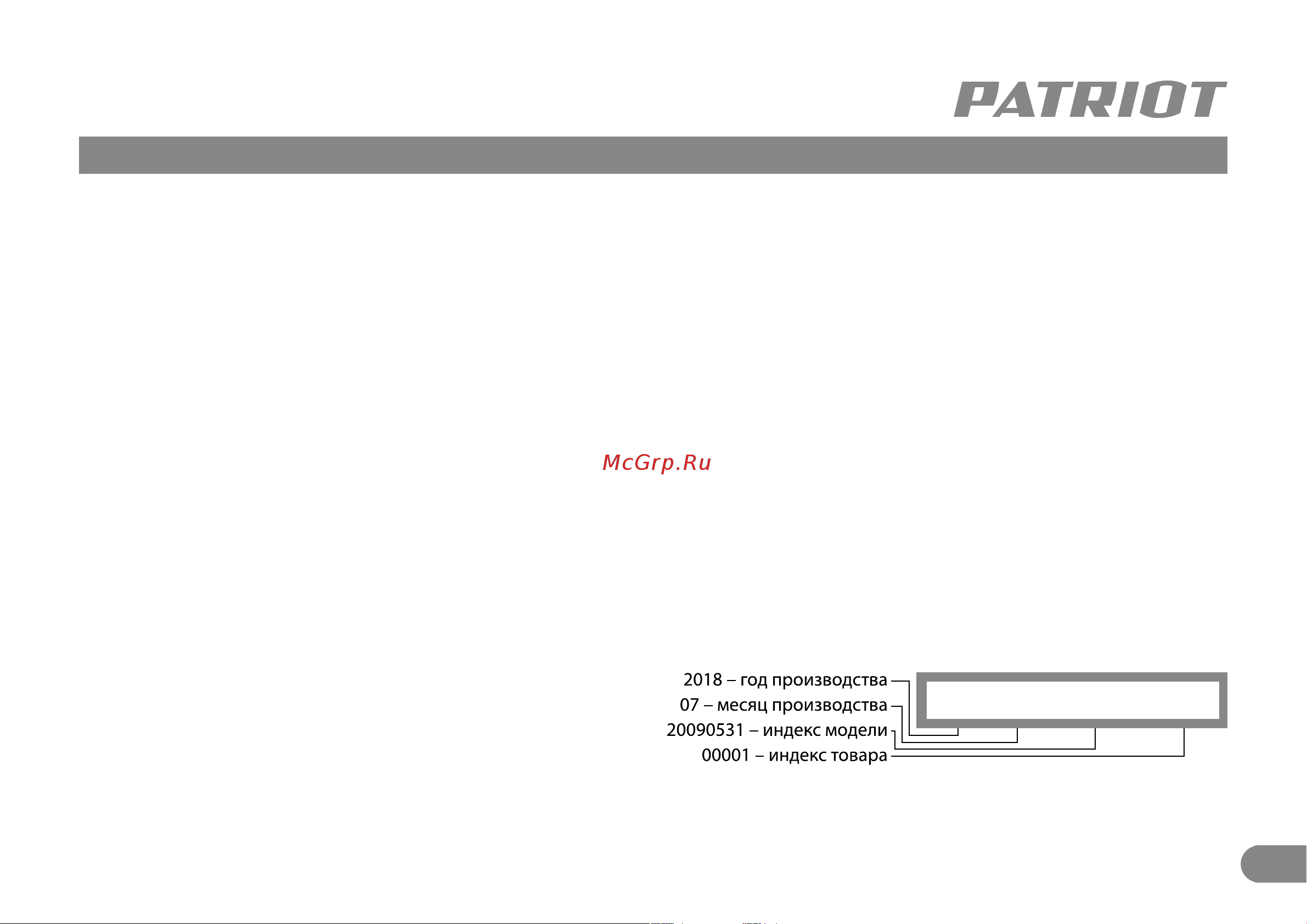 Patriot MS 253 190301853 Инструкция онлайн [12/13] 851019