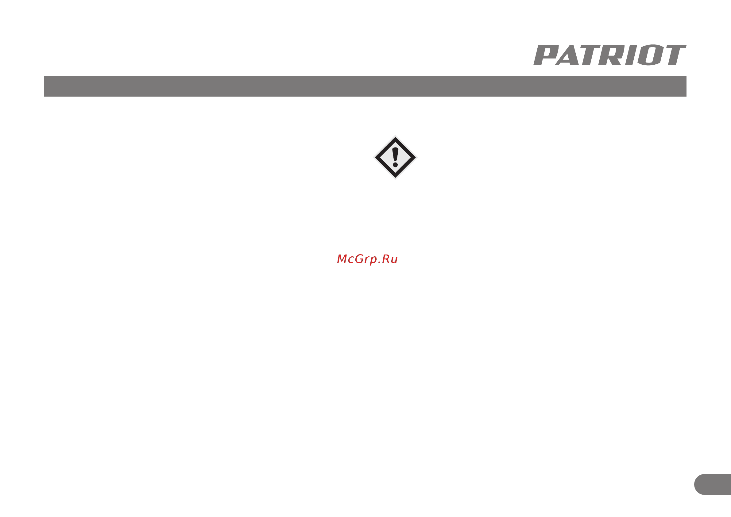 Patriot GRS 950 476102219 [14/15] Срок службы утилизация и хранение