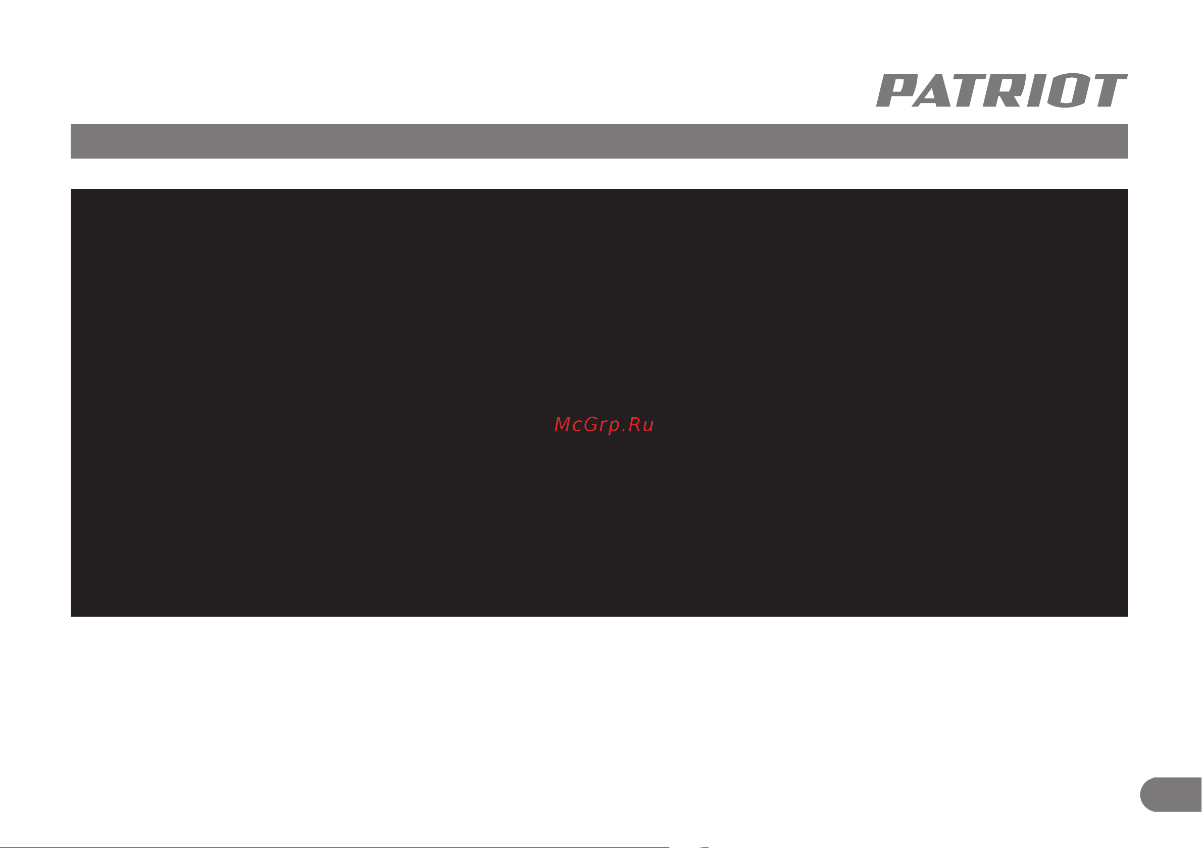 Patriot WH 400 E [8/22] Модель wh 400e рис 2