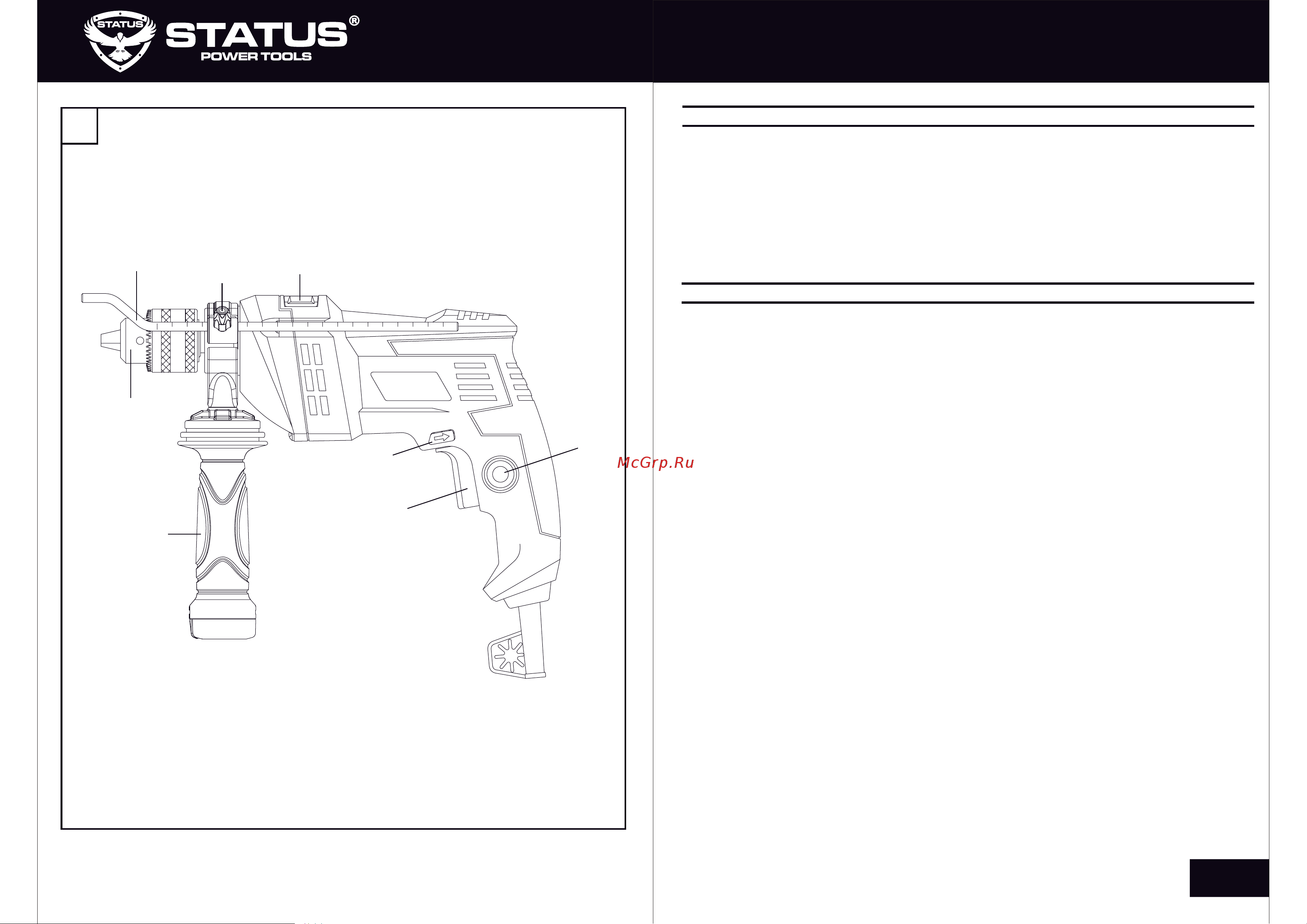 STATUS DP750 [2/20] Страница 2