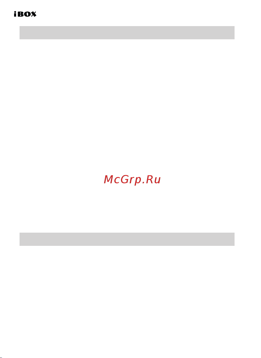 Ibox Flip Dual [12/32] Циклическая запись