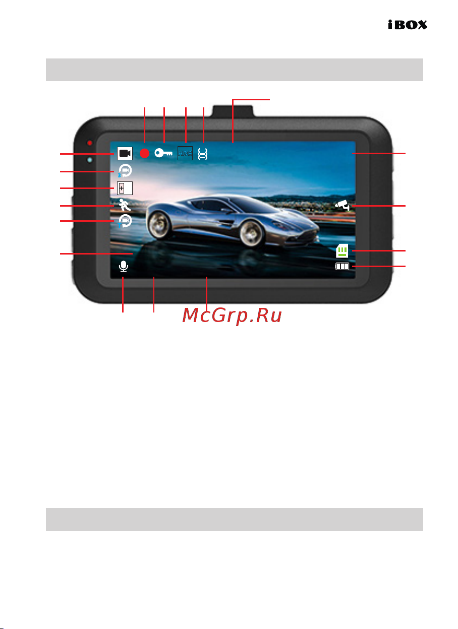 Ibox Optic WiFi Dual [11/32] Показания дисплея