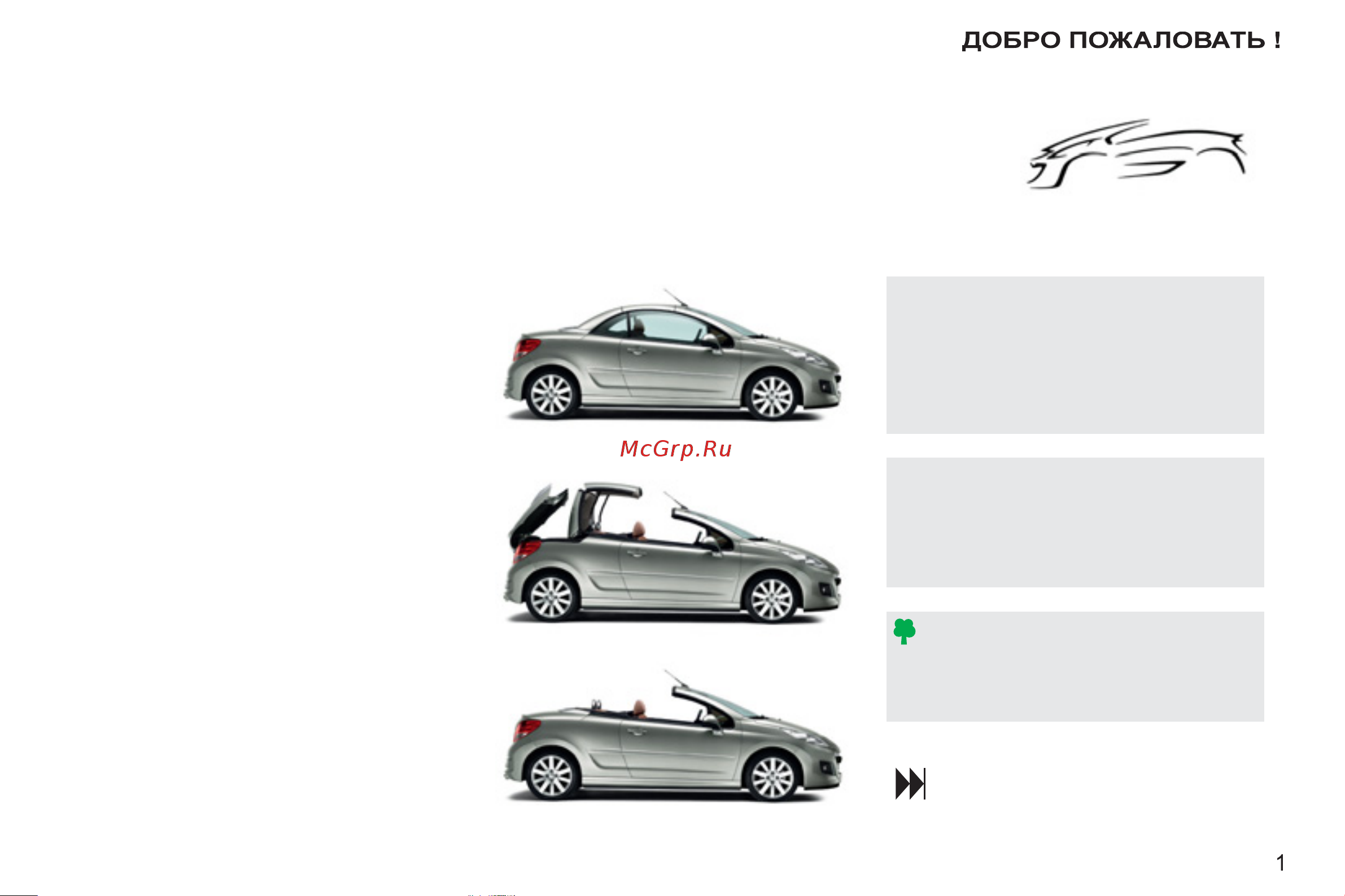 Peugeot 207 CC  2011 [3/224] Внимание