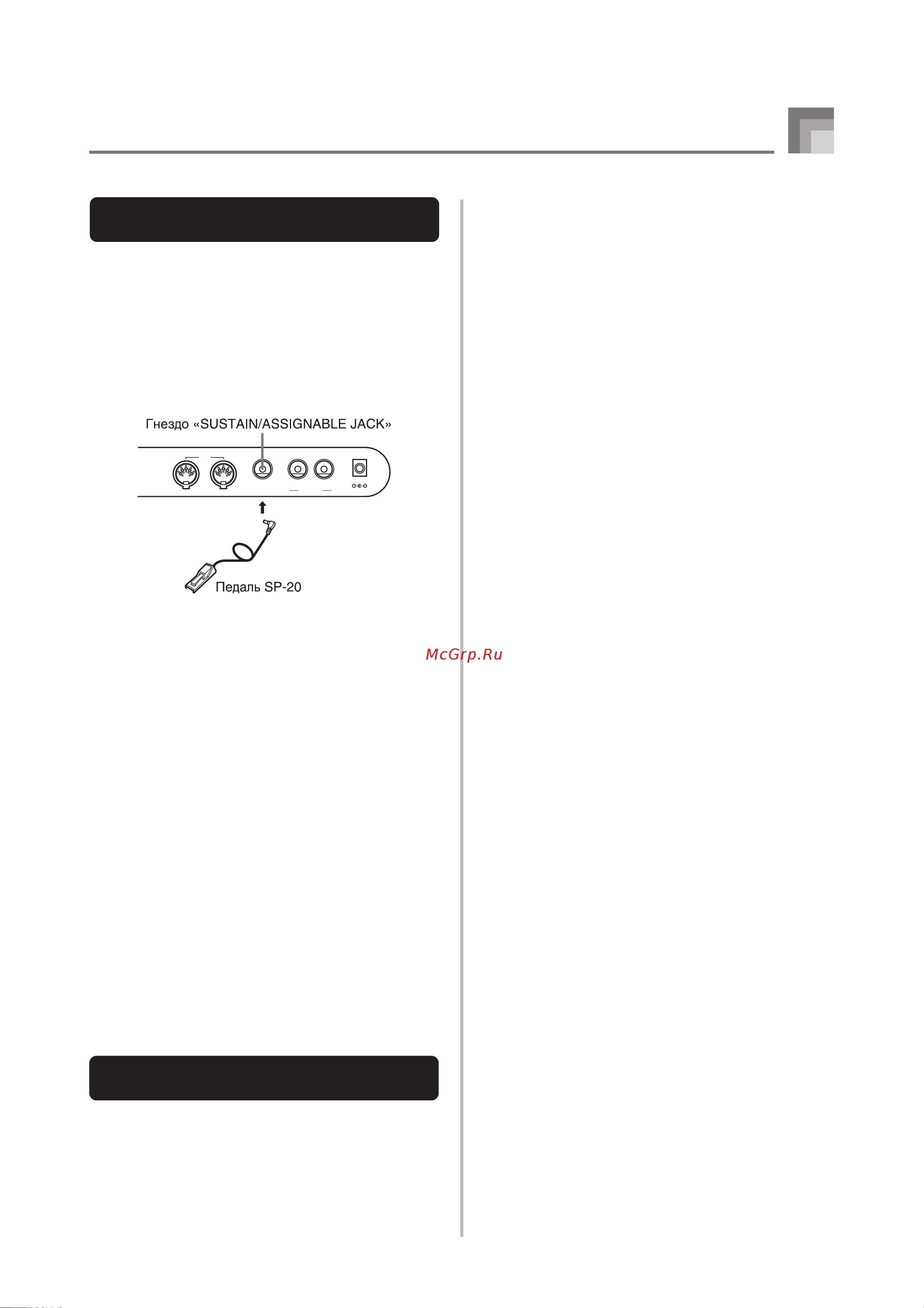 Casio WK-3000 [22/156] Контактное гнездо sustain assignable jack