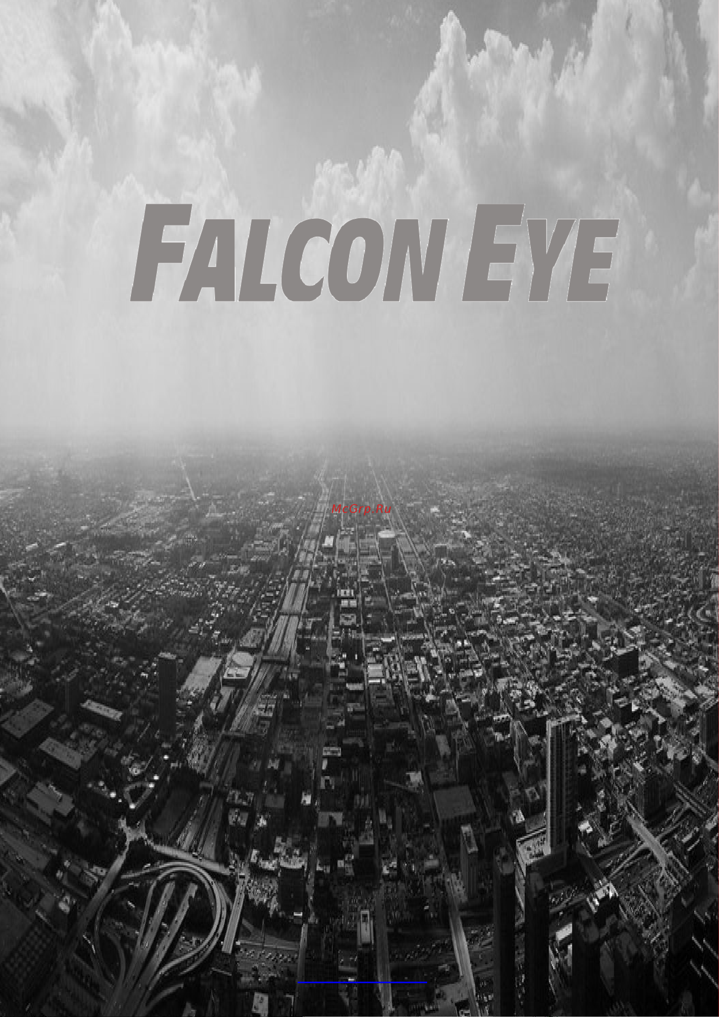 Falcon Eye FE-IPC-WD130P-QUICKSTART Руководство по эксплуатации онлайн