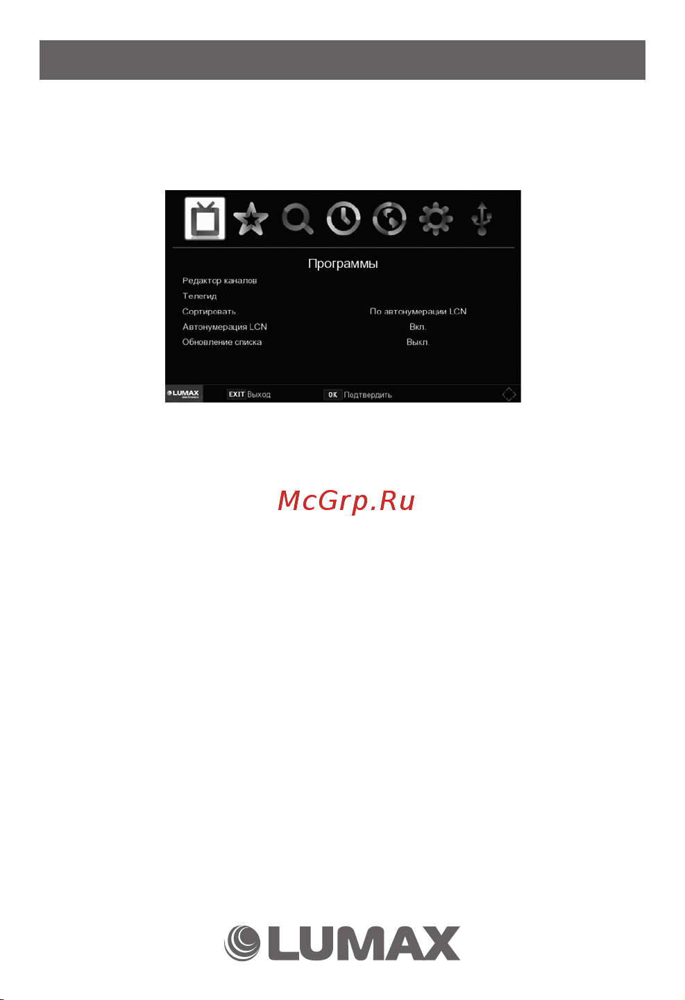 Lumax DV-2118HD [12/40] Менеджер программ