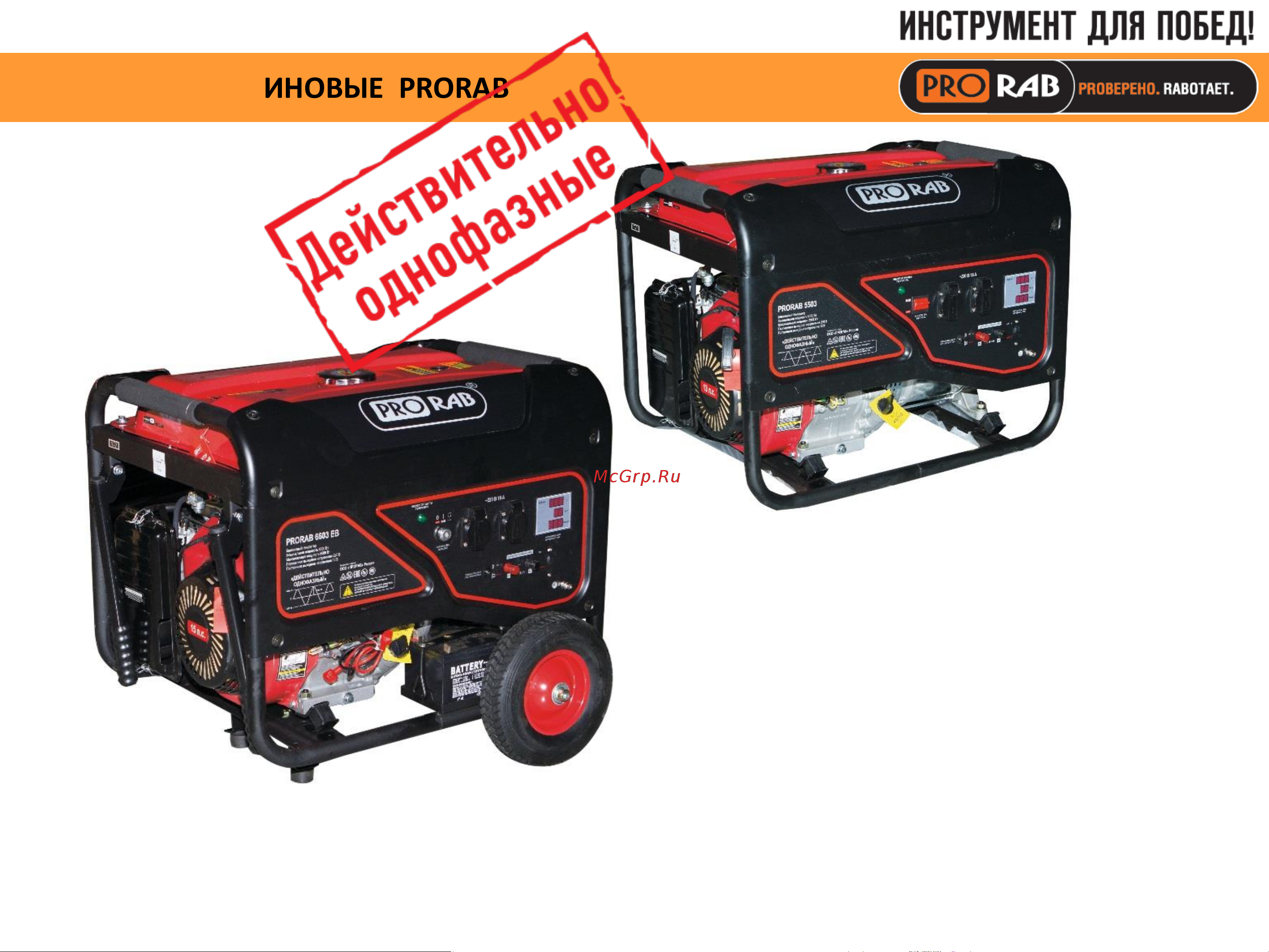 Prorab 5503 Руководство по эксплуатации онлайн