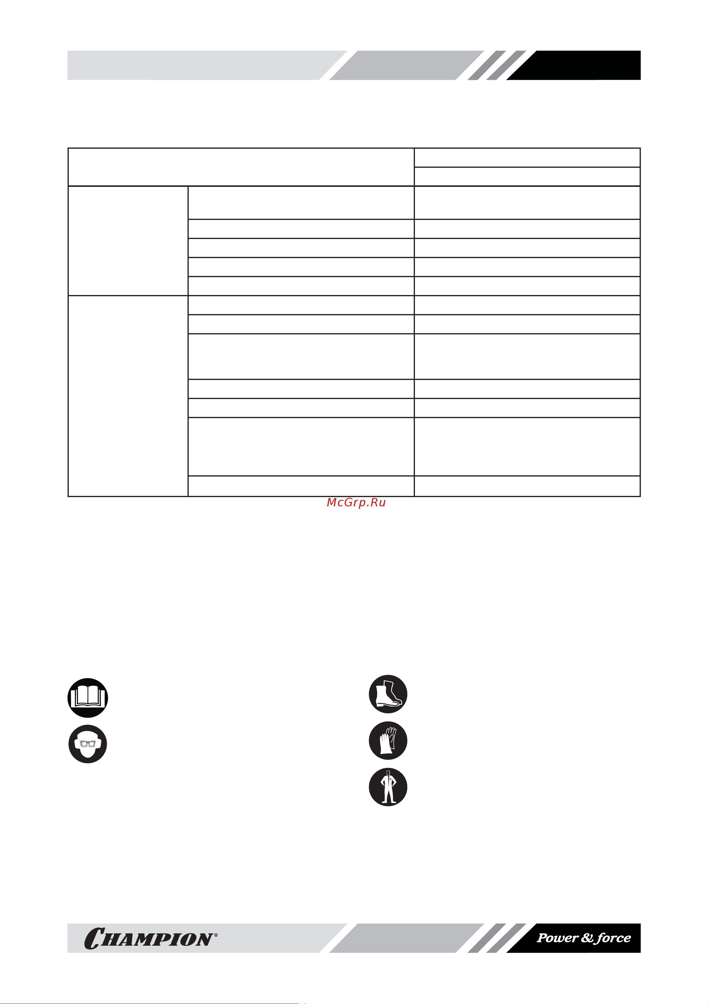 Champion GC243.pdf [3/18] Предостерегающие наклейки