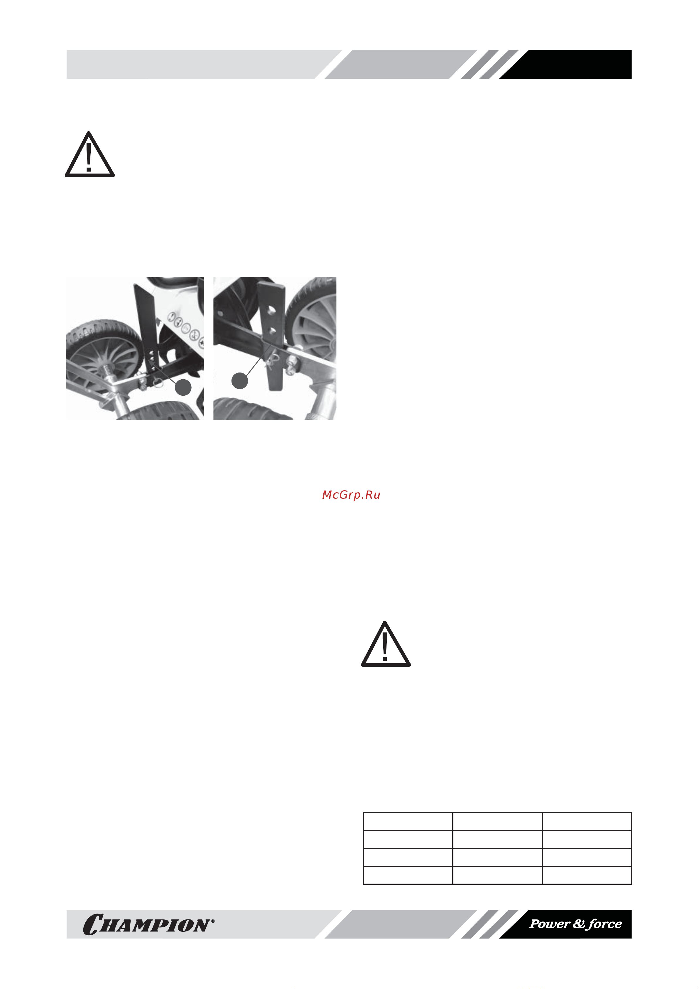 Champion GC243.pdf [9/18] Топливо и масло