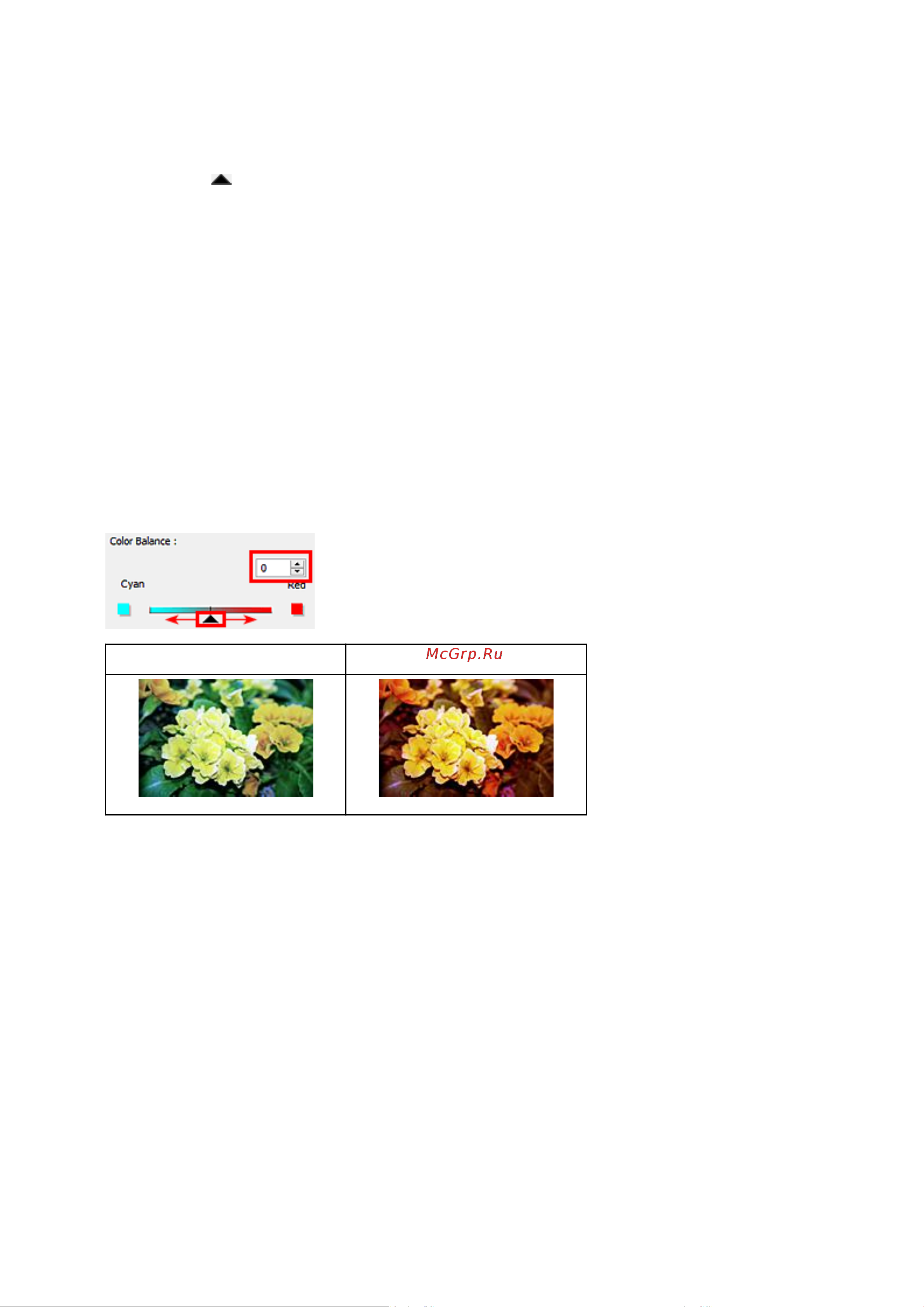 Canon PIXMA MG2550S [561/638] Баланс цвета