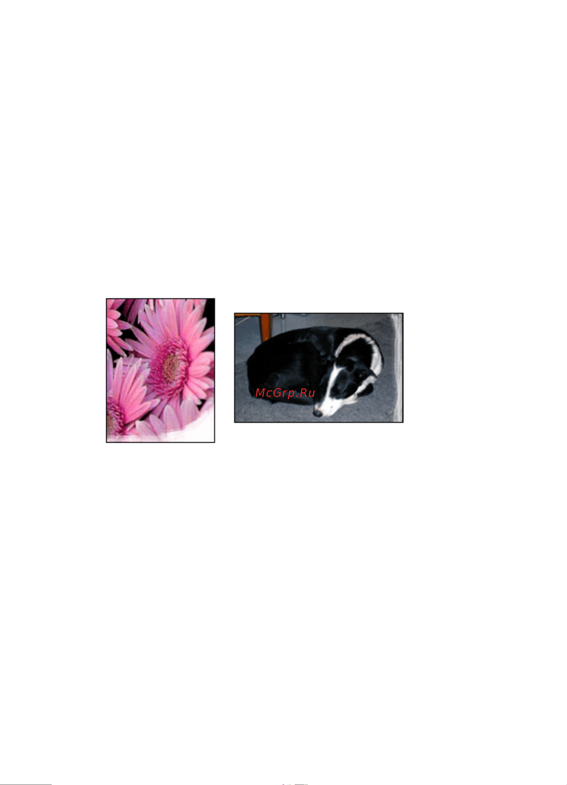 HP Deskjet 6980 [146/200] Часть фотографии блеклая