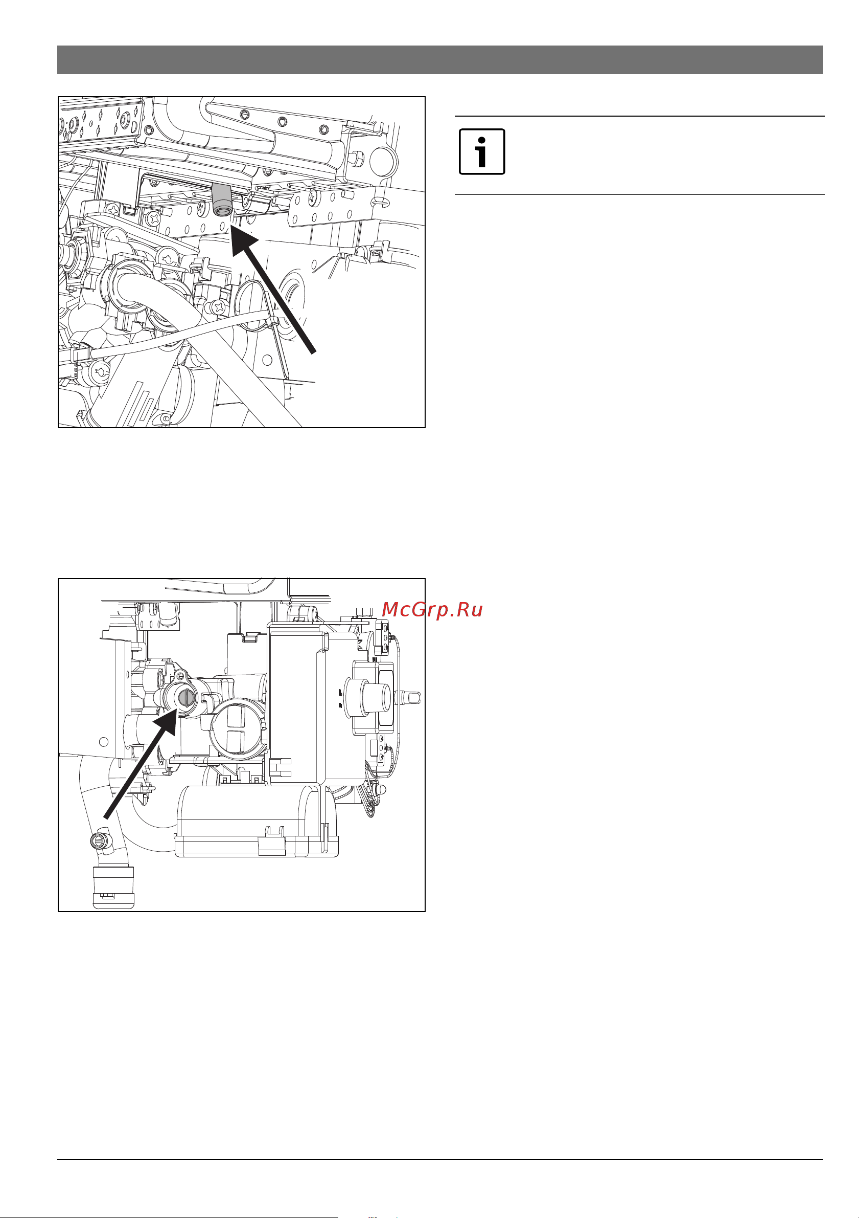 Bosch WR 13-2B (Therm 4000 O) [15/20] Давление перед форсункой при максимальной тепловой мощности