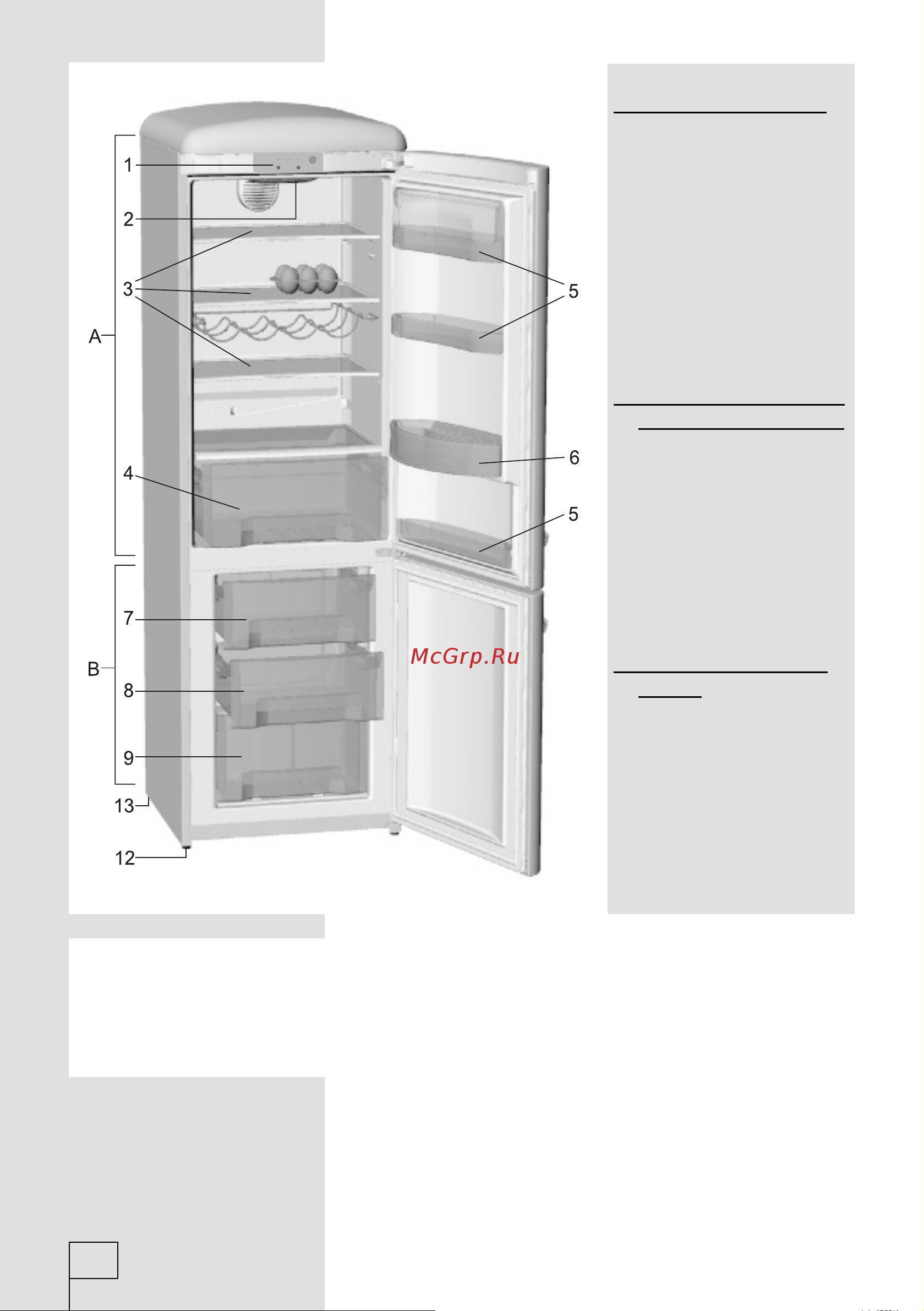 Gorenje RK60359OCO (OR) [8/40] В некоторых моделях
