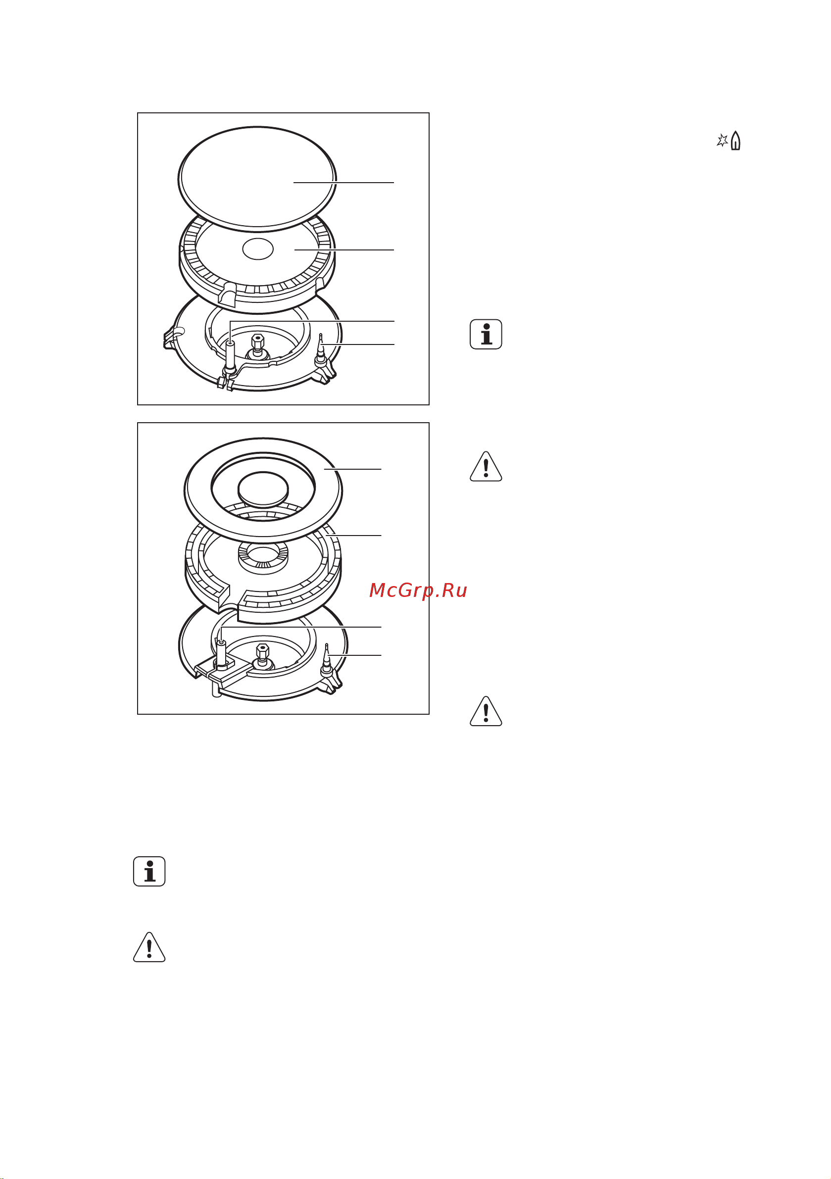 Electrolux EGG 96343 NK (NR) [9/40] Общий вид горелки