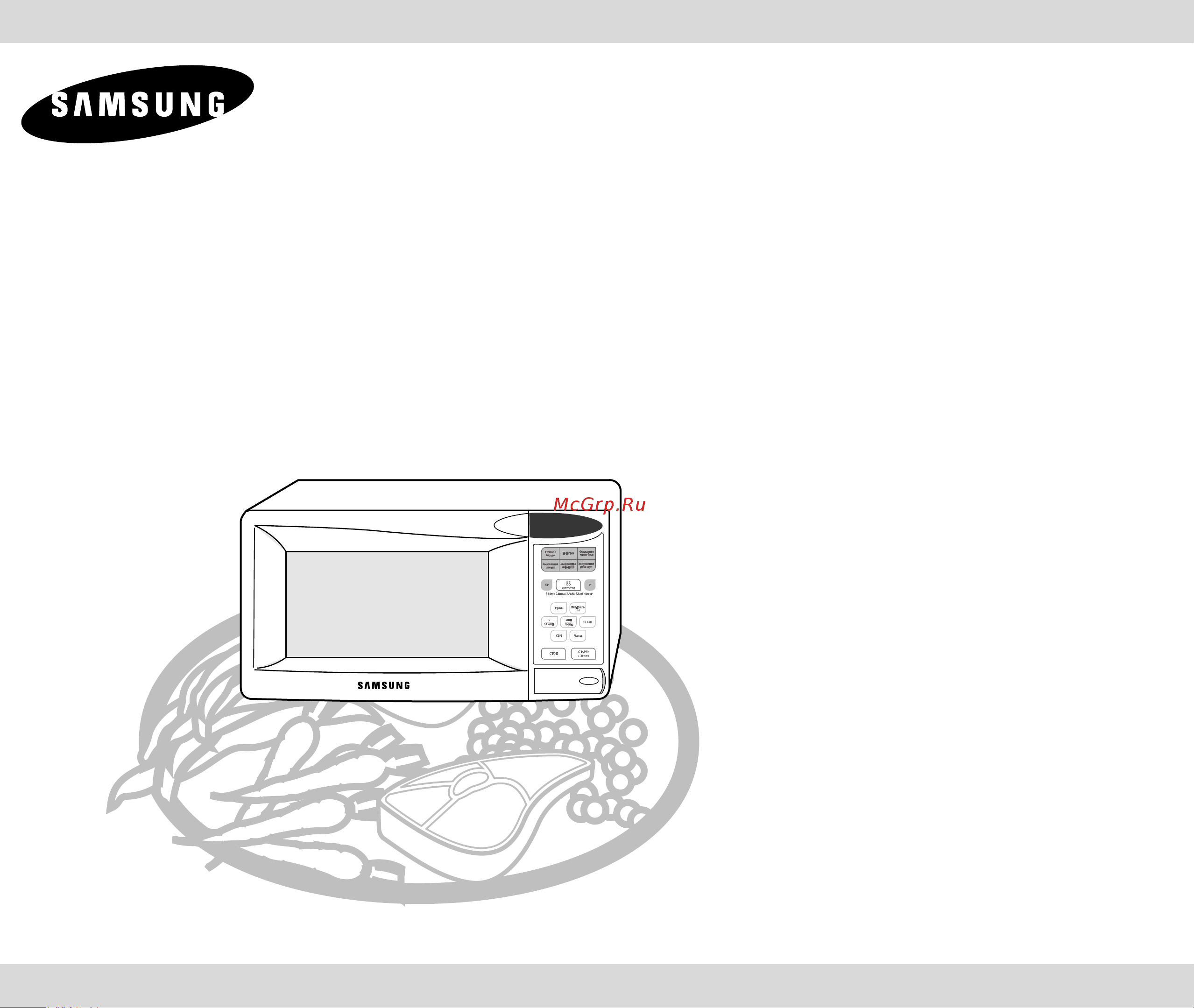 Samsung CE2813NR (NTR) Руководство по эксплуатации онлайн