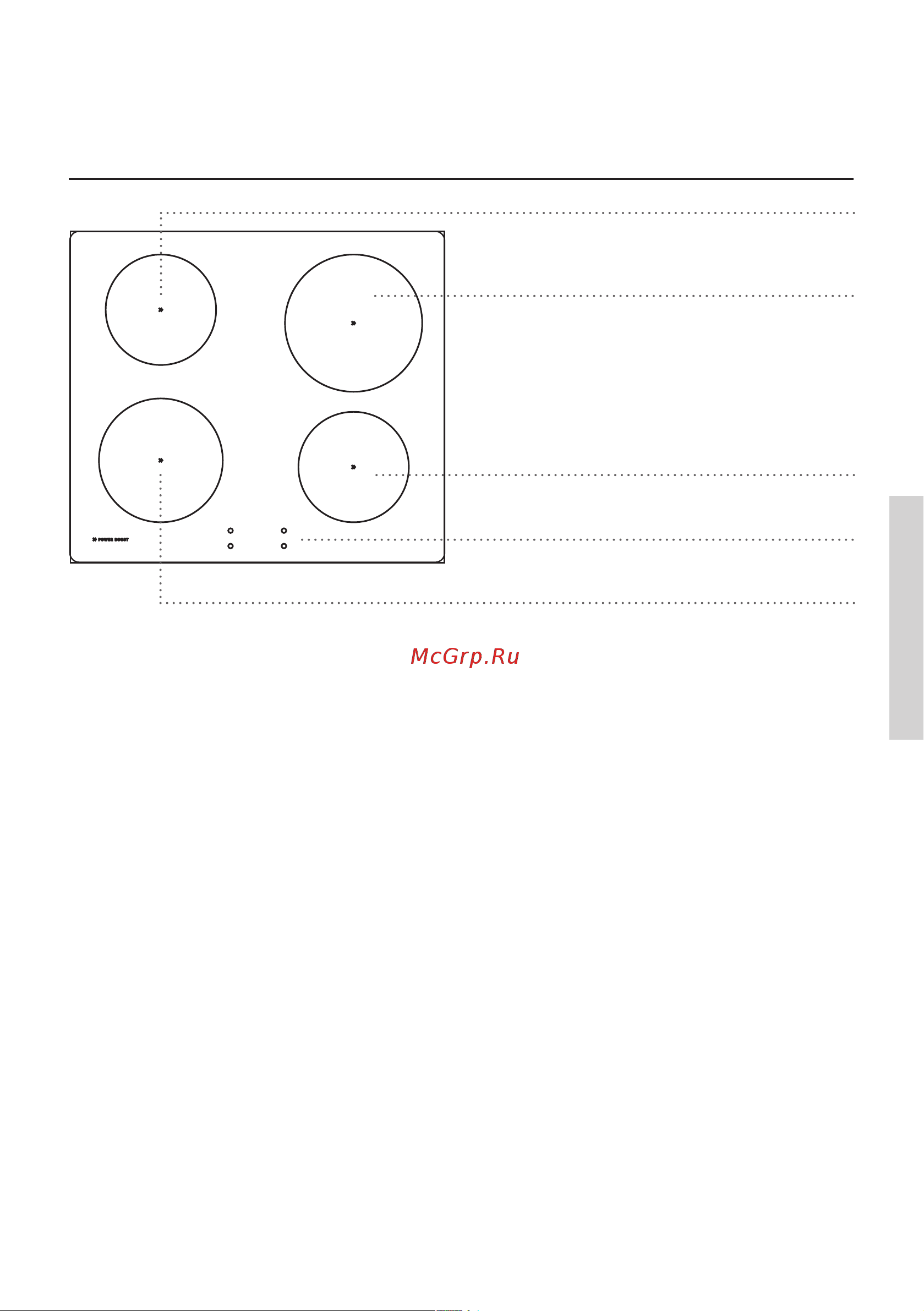 Gorenje EI637E21WK2 [15/68] Индукционная варочная поверхность