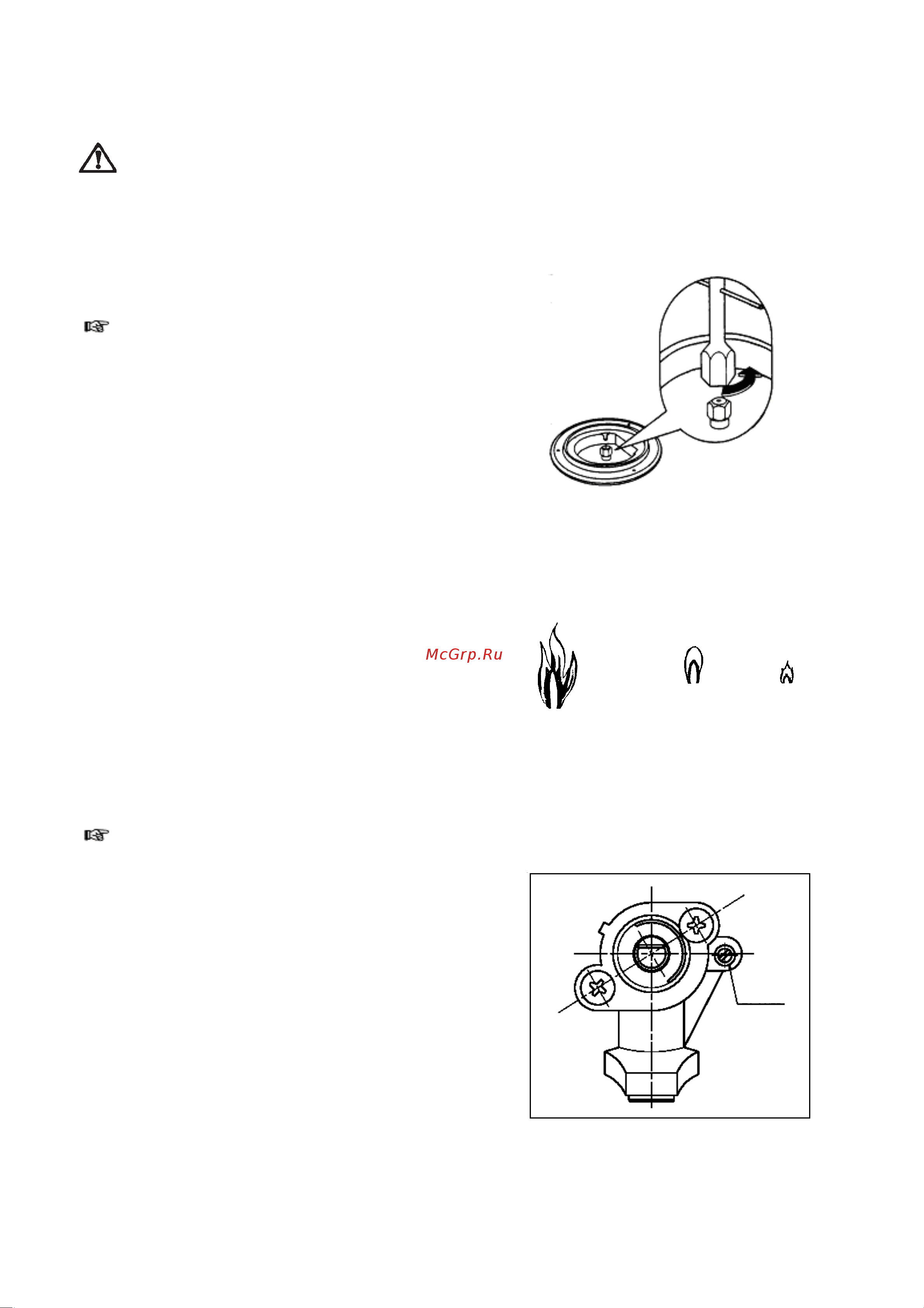Zanussi ZCG 560 MX [10/24] Äëÿ çàìåíû ôîðñóíîê