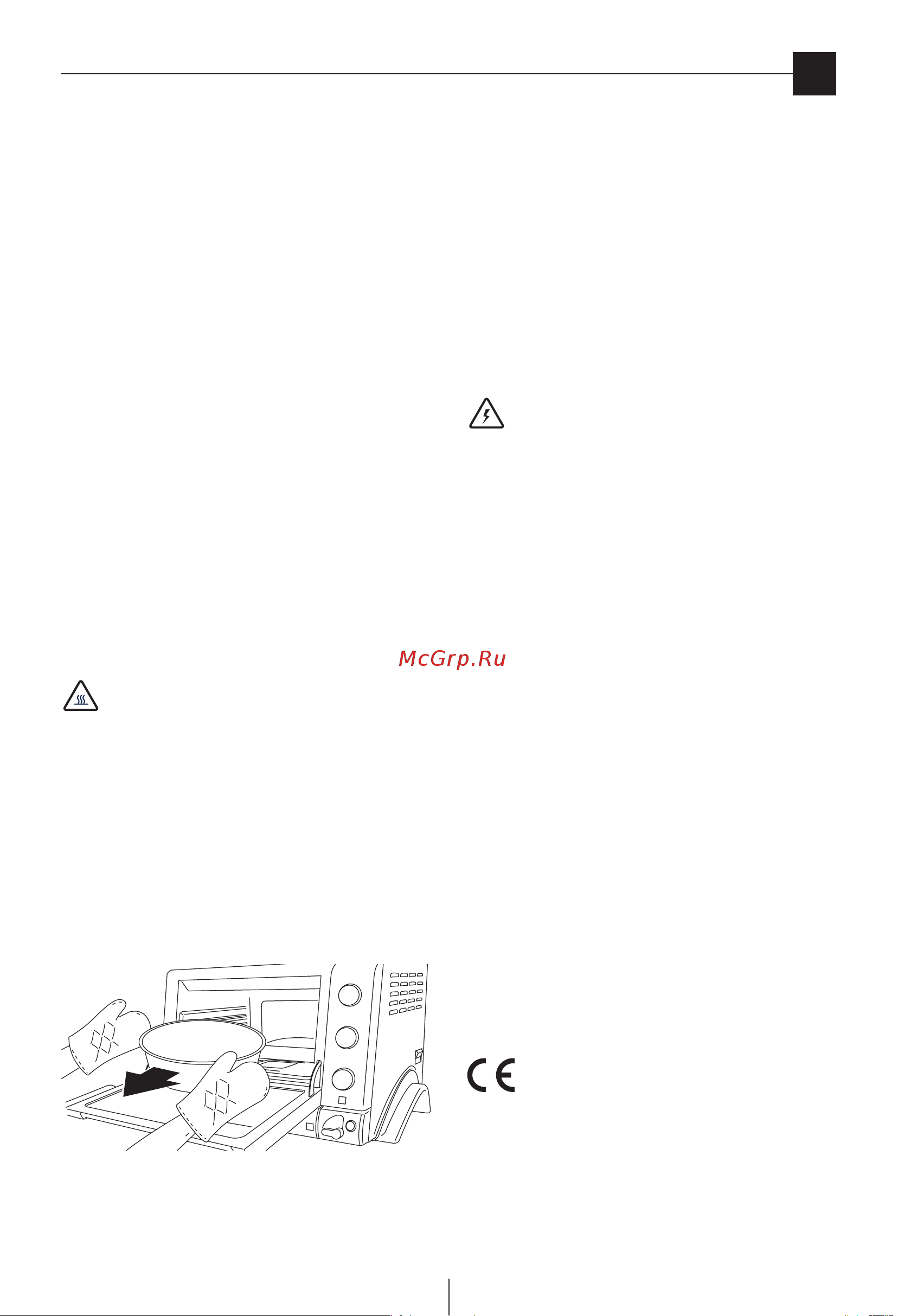 Delonghi EOB2071 PANGOURMET Руководство по эксплуатации онлайн [3/31] 731832