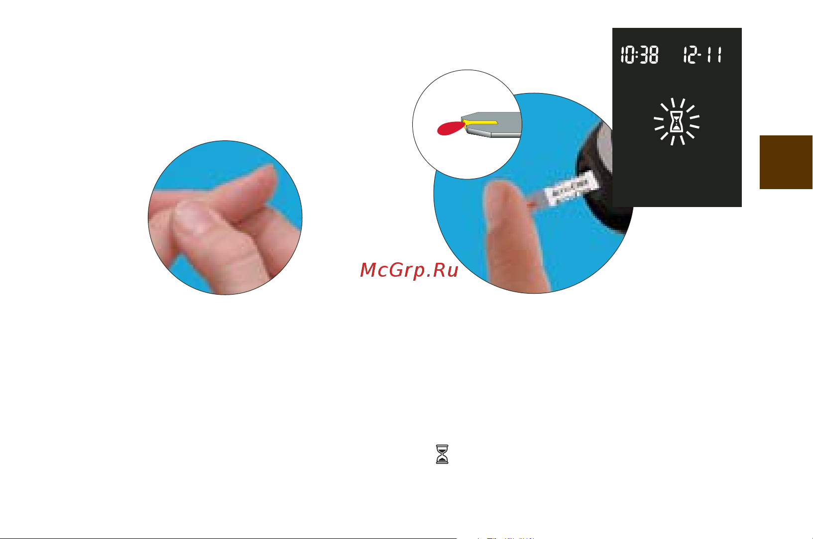 Accu-Chek Performa Nano (Перформа Нано) Руководство по эксплуатации онлайн [16/85] 731937