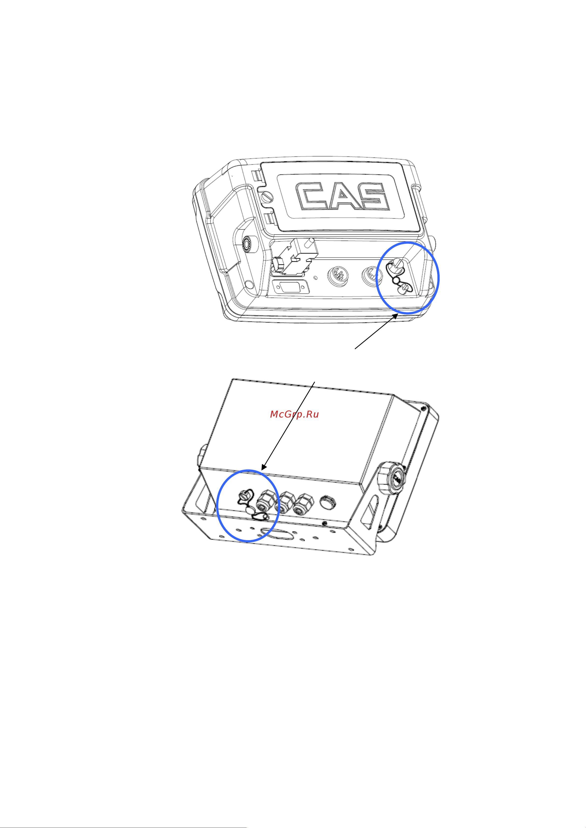 CAS CI-200A [66/67] Пломбирование индикатора