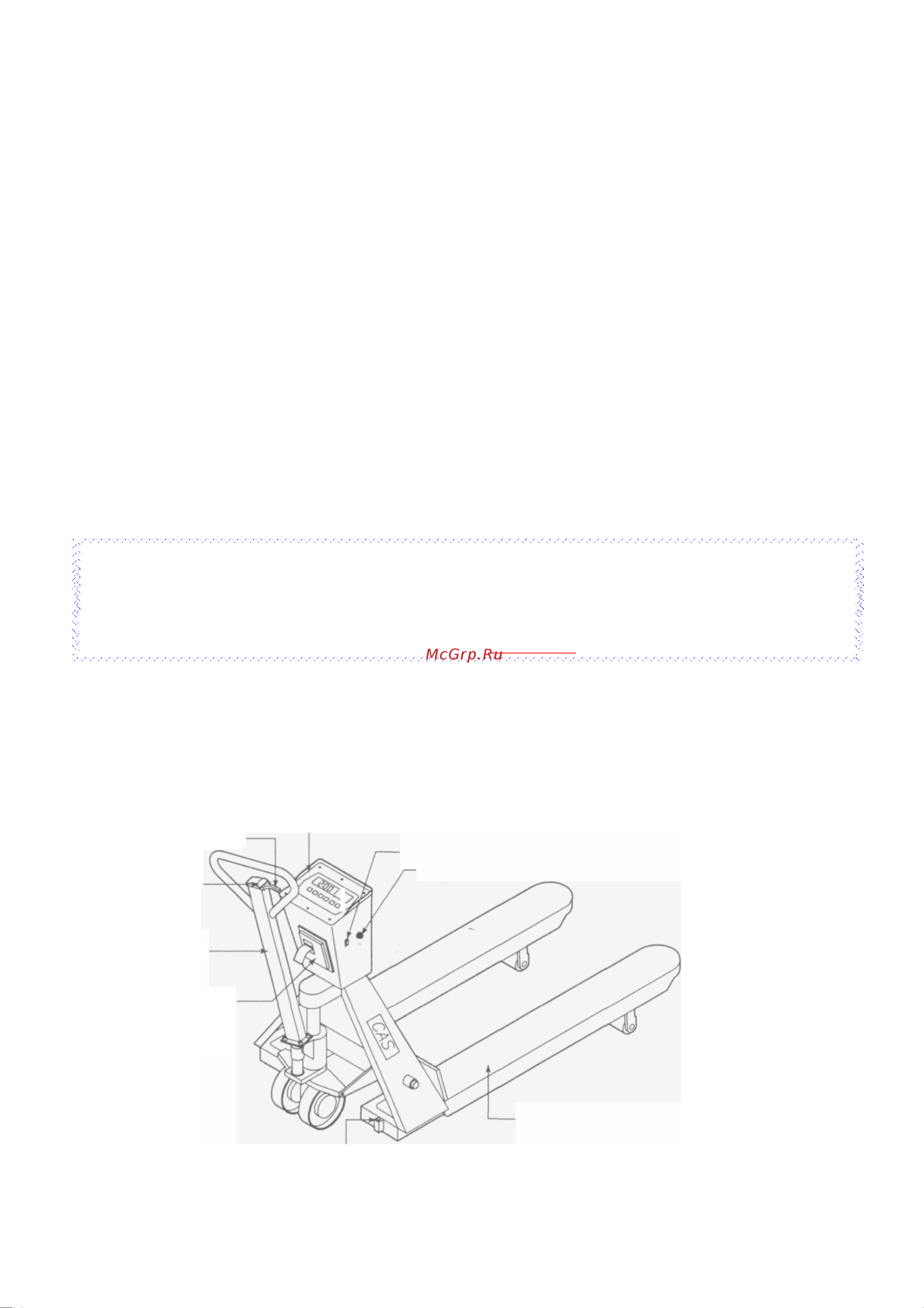 CAS CPS [3/13] Предисловие