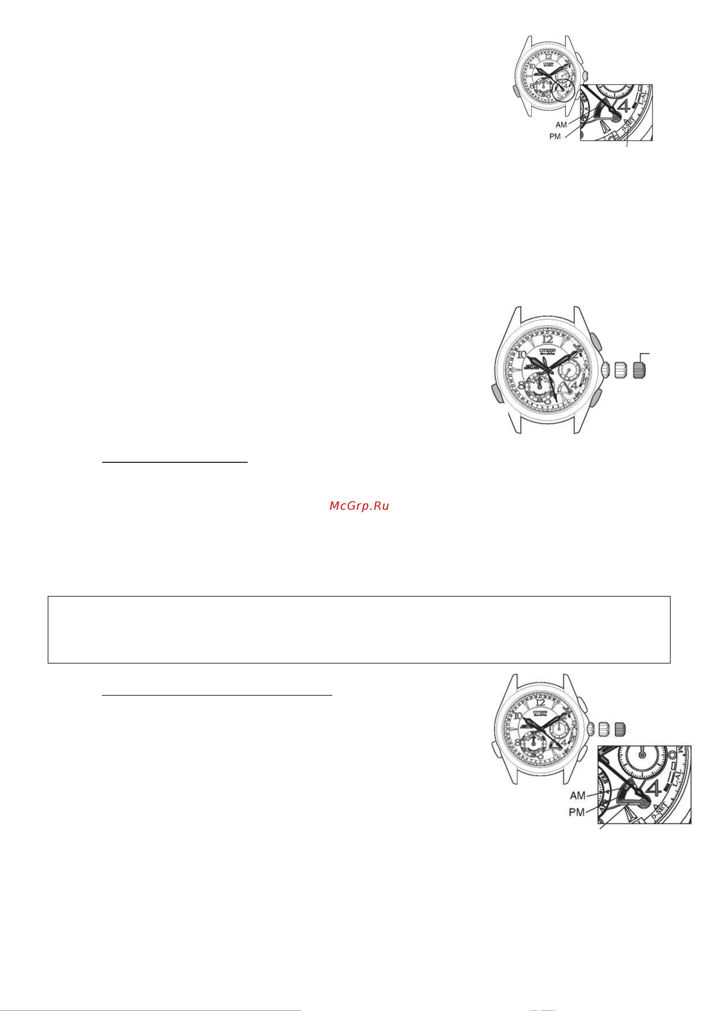 Citizen BL9009-54F (M) Руководство по эксплуатации онлайн [3/14] 733429