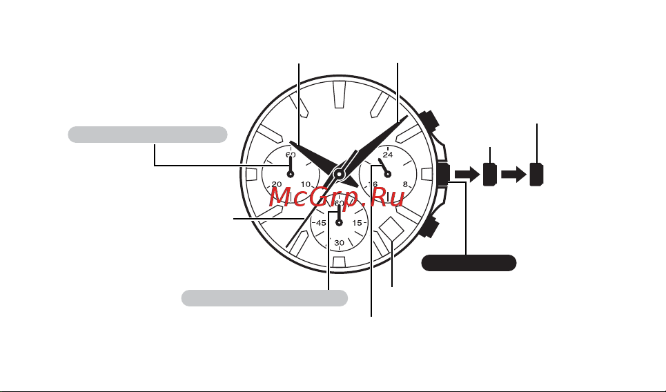 Casio EFR-527D-2AVUEF Руководство по эксплуатации онлайн [7/16] 733619
