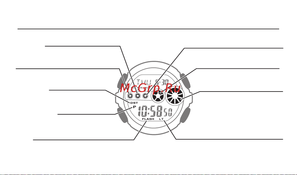 Casio GD-100GB-1ER [22/60] Индикация на дисплее
