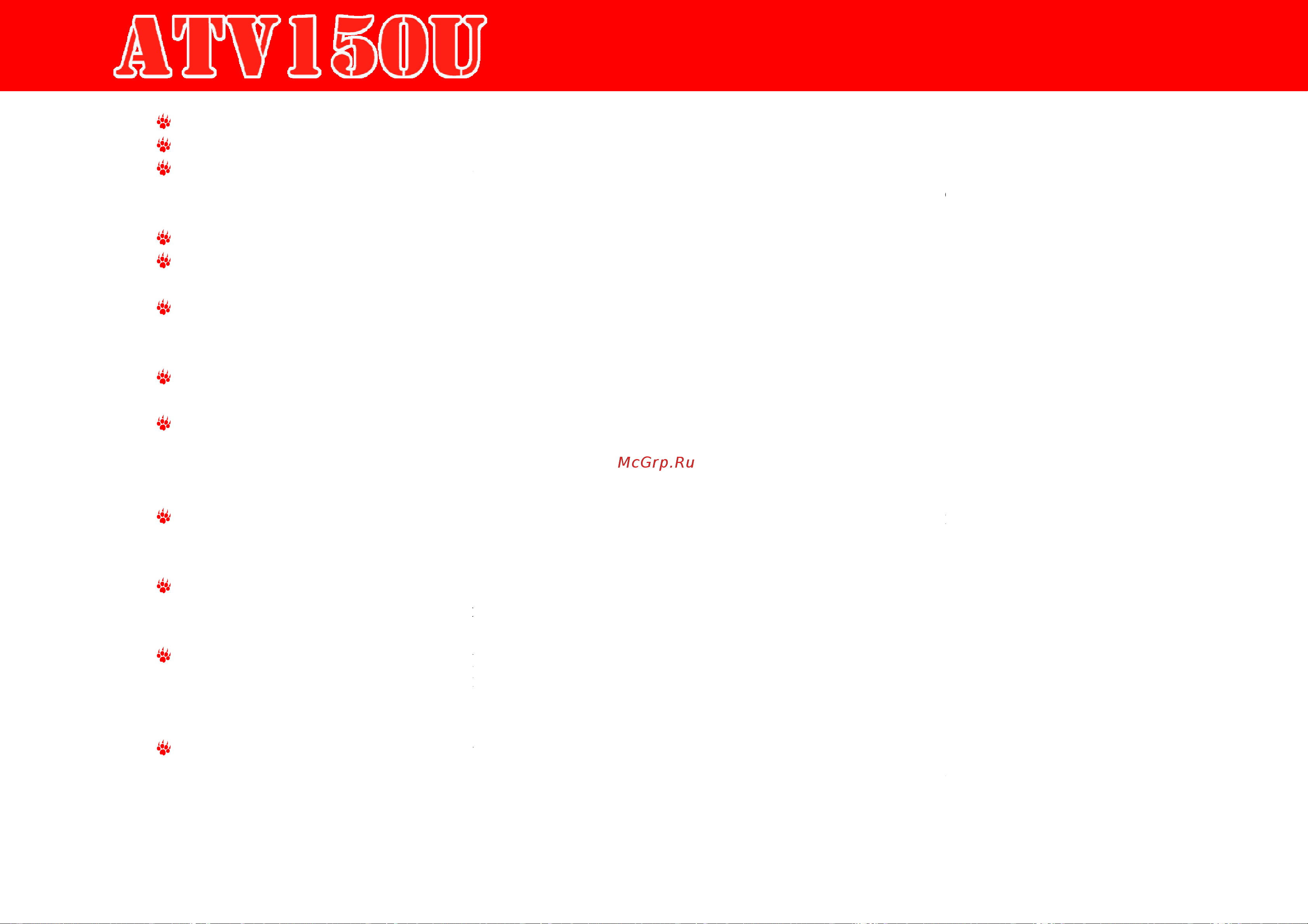 Irbis ATV150U 150сс 4т [11/42] Техника