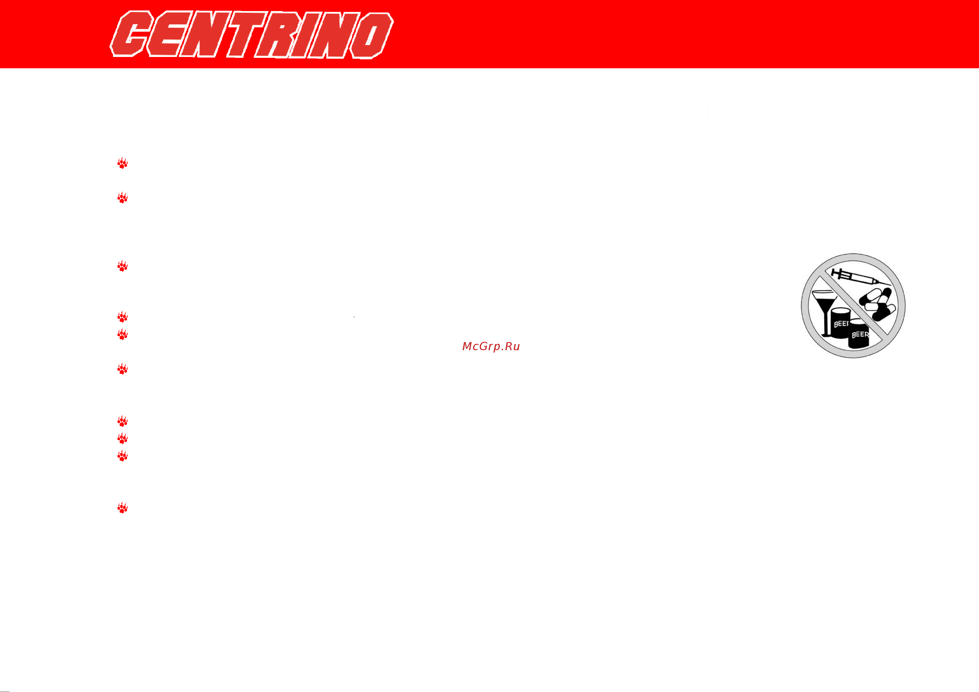 Irbis CENTRINO 50сс 4т [9/44] Техника