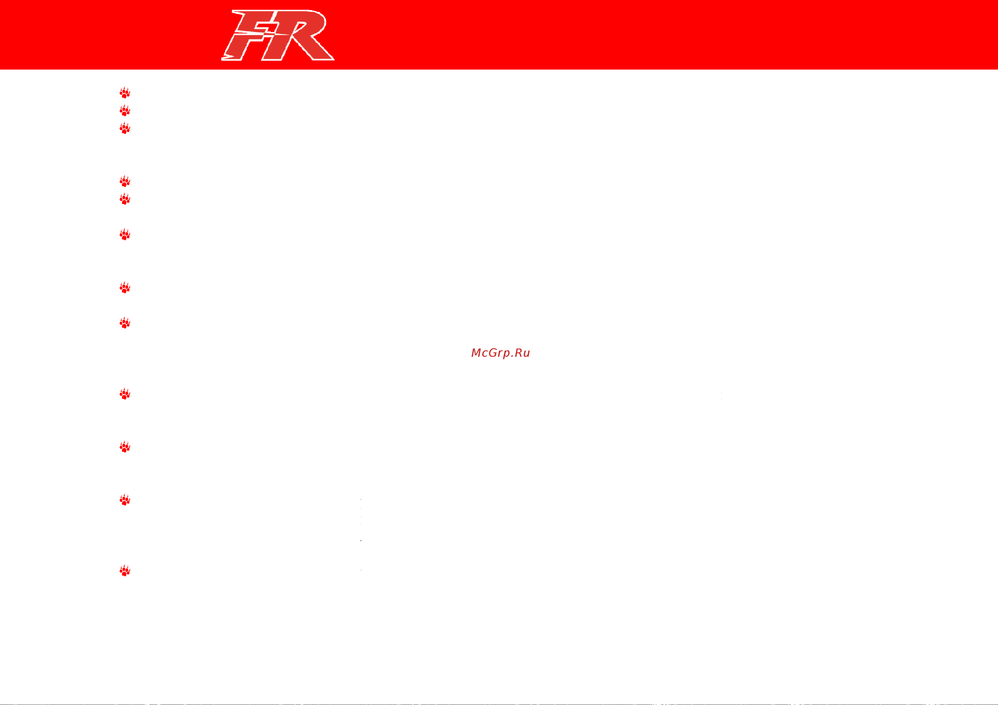 Irbis FR 50сс 4т [11/44] Техника