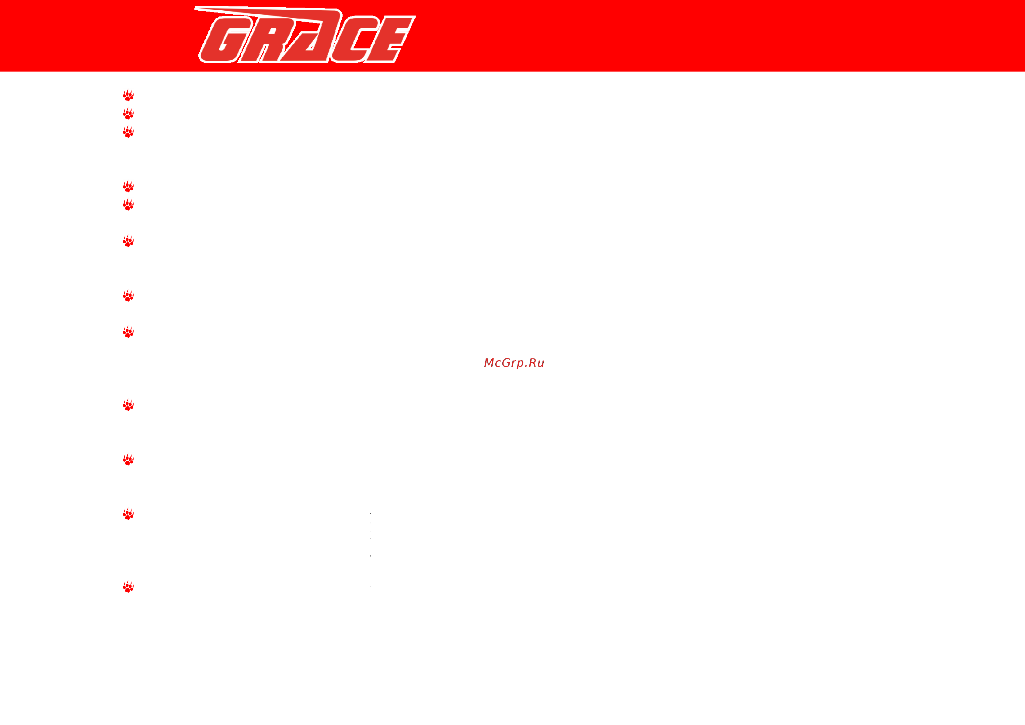 Irbis GRACE 150сс 4т [11/44] Техника безопасности