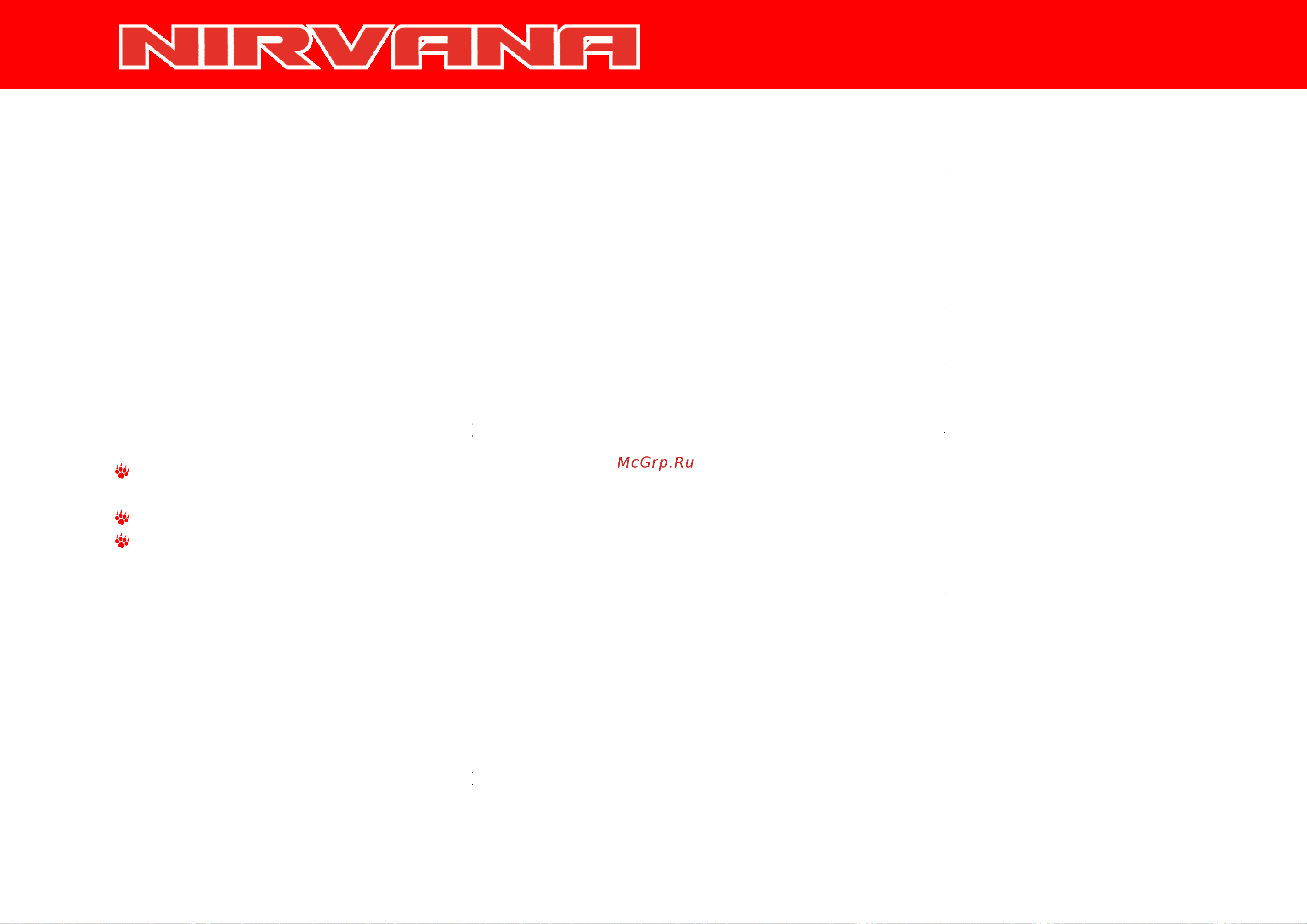 Irbis NIRVANA 150сс 4т [27/44] Шины