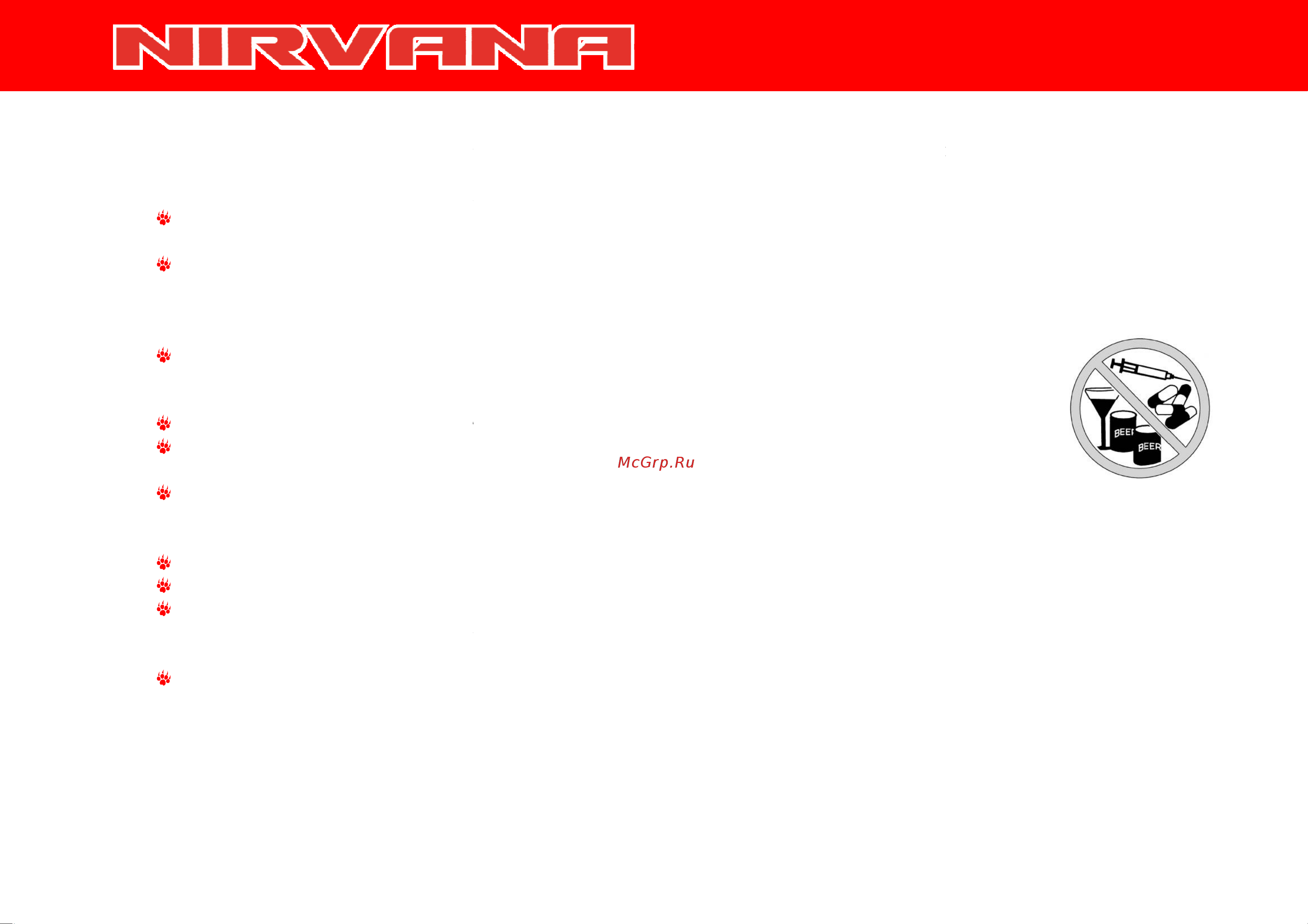 Irbis NIRVANA 150сс 4т [9/44] Техника