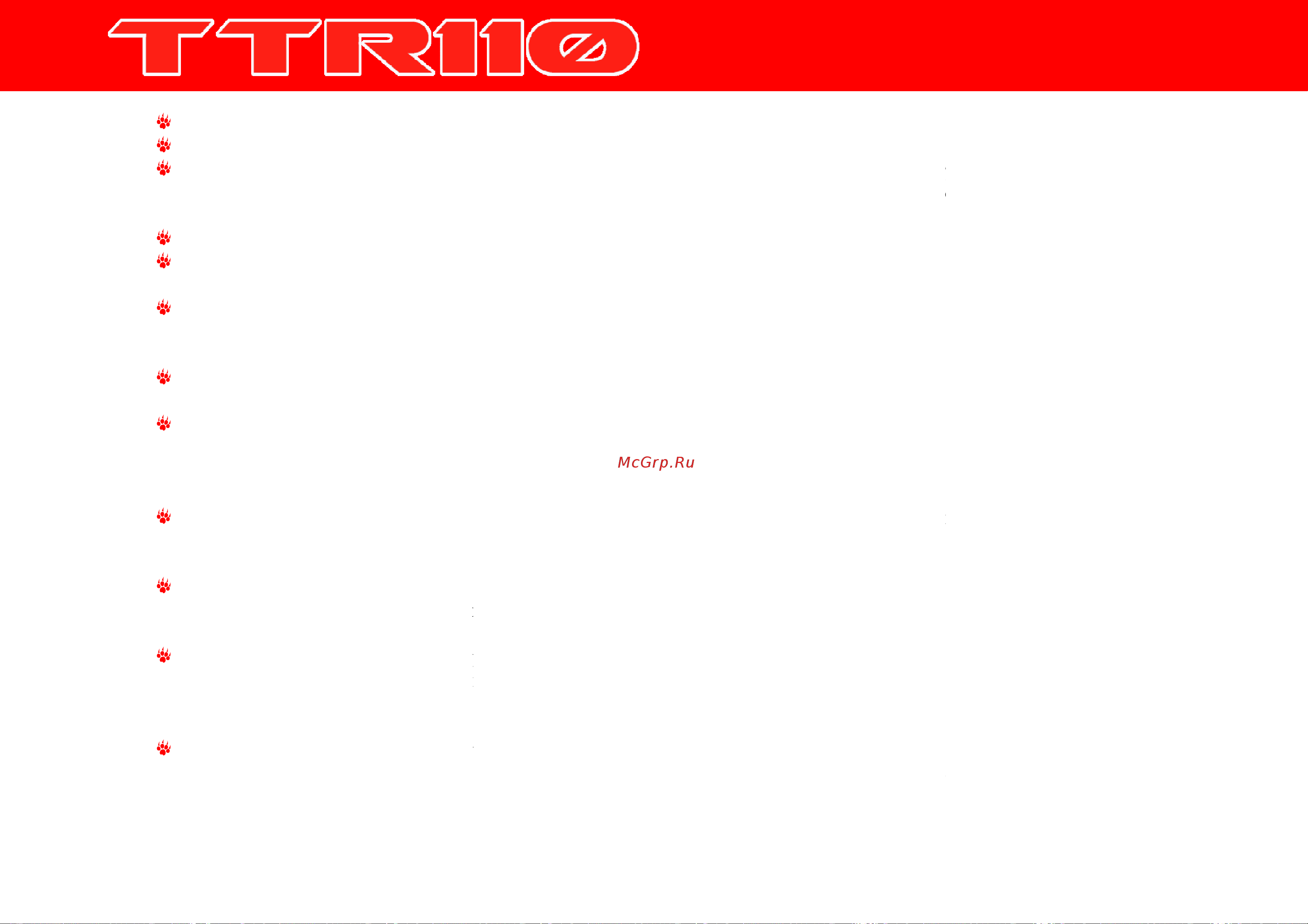 IRBIS MOTORS IRBIS TTR 110сс 4т [11/42] Техника