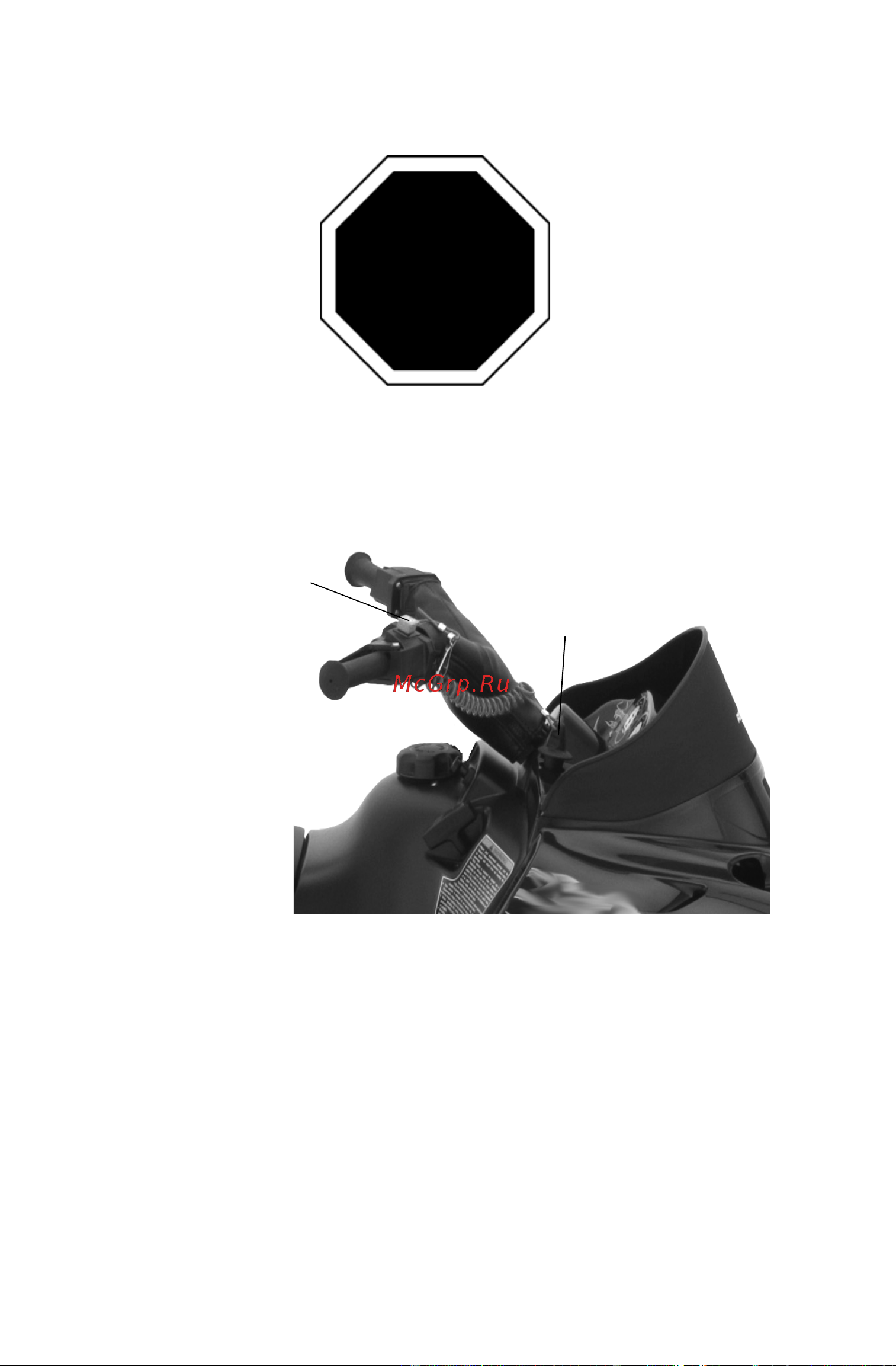 Polaris Industries Inc Indy 120  2014 [18/88] Раздел для молодежи