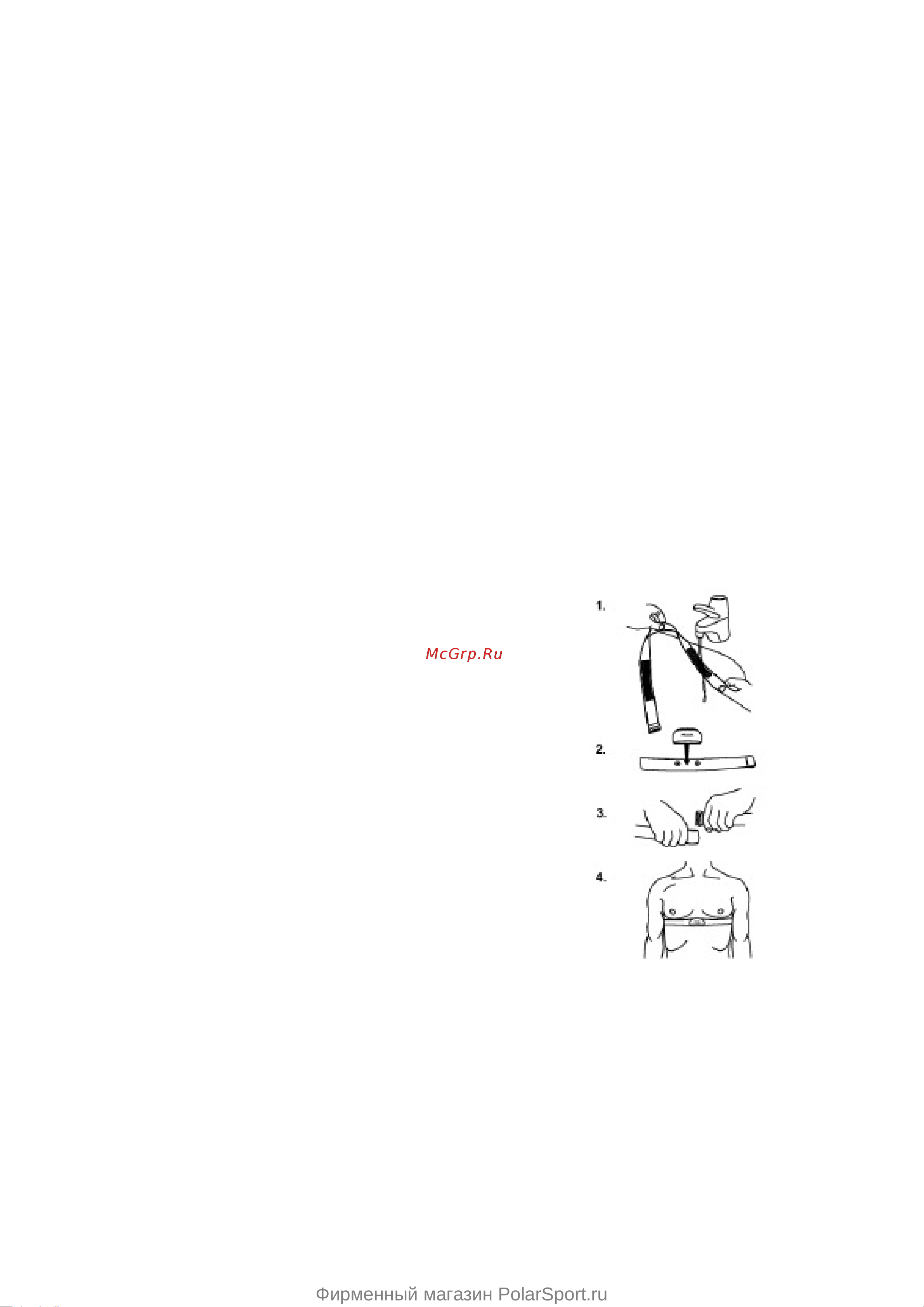Polar FT7M red [4/11] Фирменный магазин polarsport ru