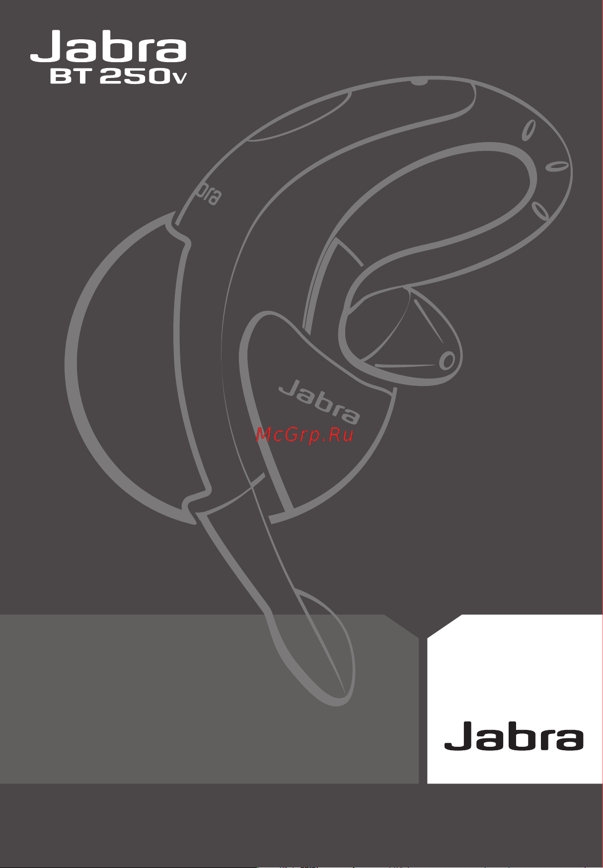 Jabra BT250v Руководство по эксплуатации онлайн