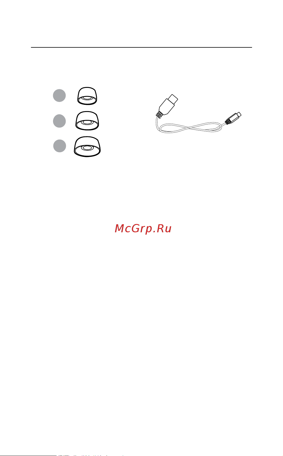 Jabra Elite 65t [7/26] Включенные в комплект аксессуары