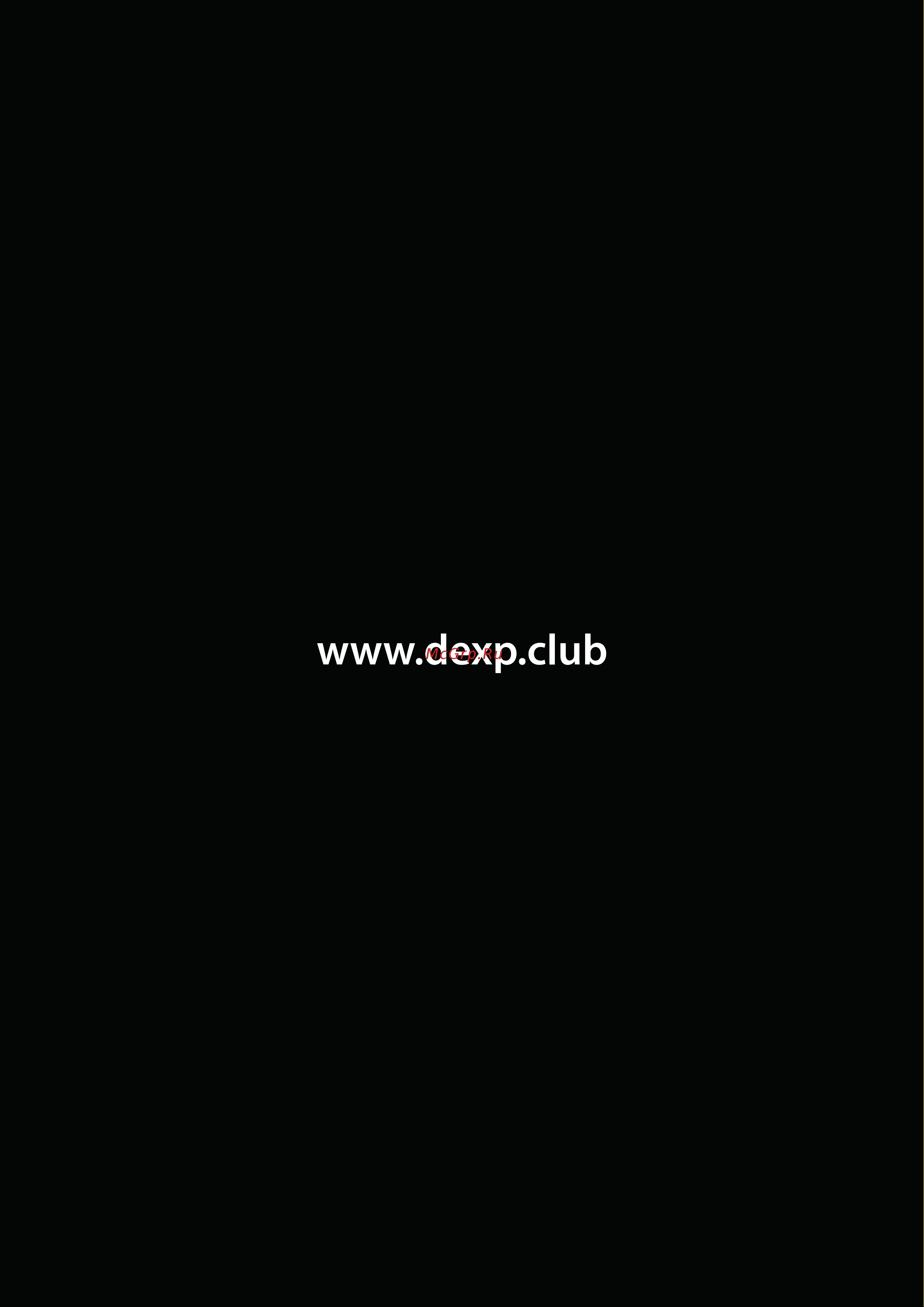 DEXP Larus Z6 [10/10] Пустая страница
