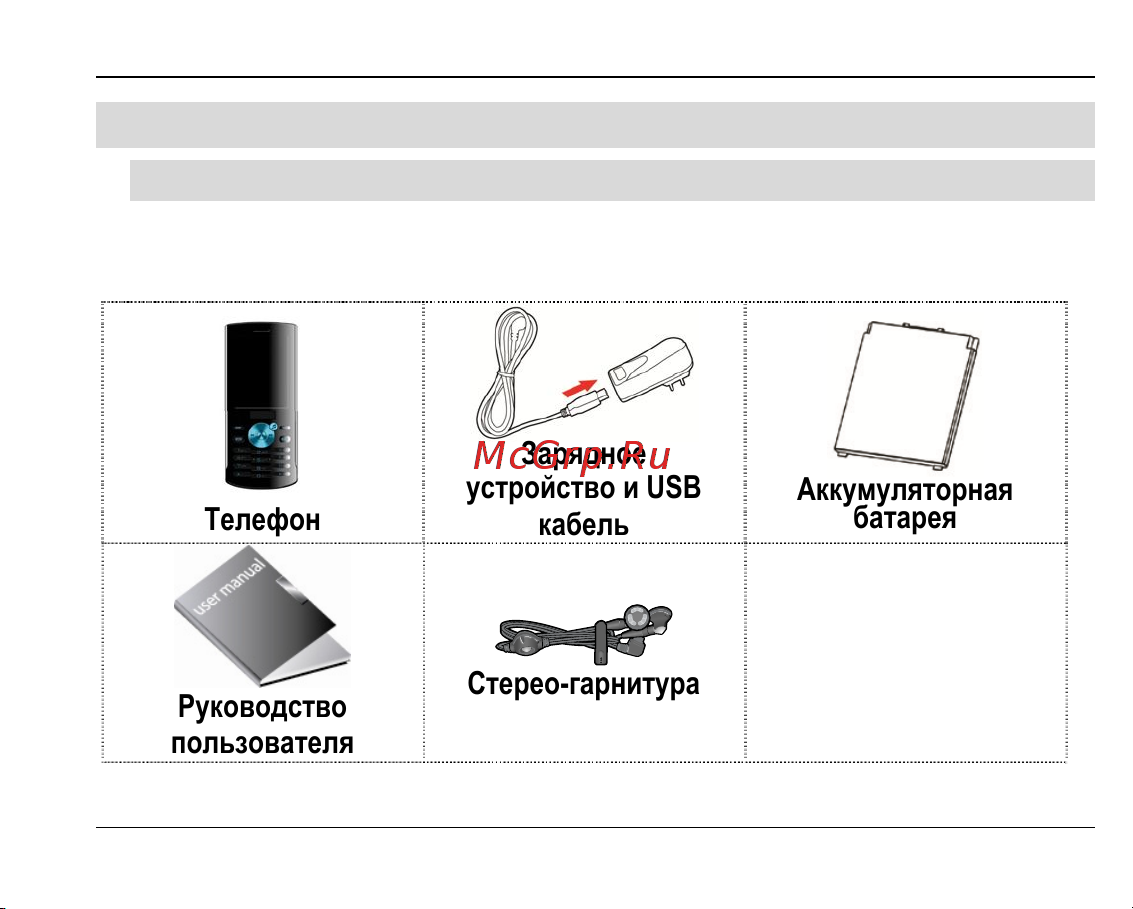 Fly MC175 DS [15/62] Описание телефона