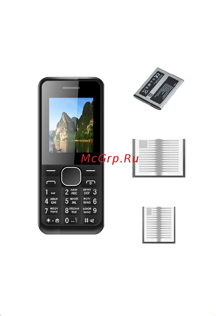 Irbis SF05 [3/32] Комплект поставки