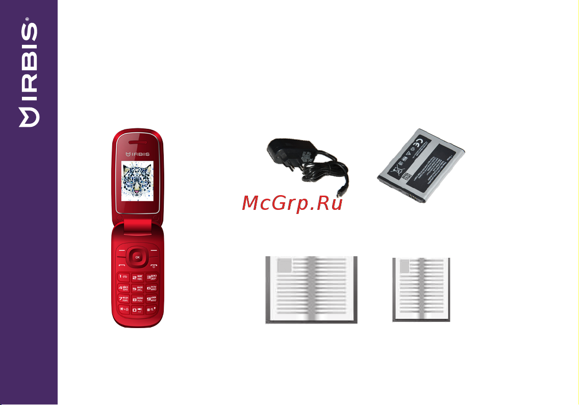 Irbis SF07 [4/36] Комплект поставки