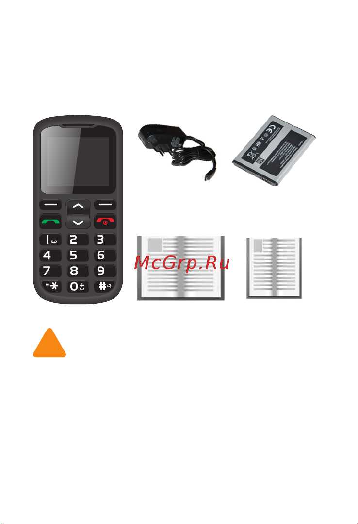 Irbis SF61 [3/19] Инструкция по эксплуатации