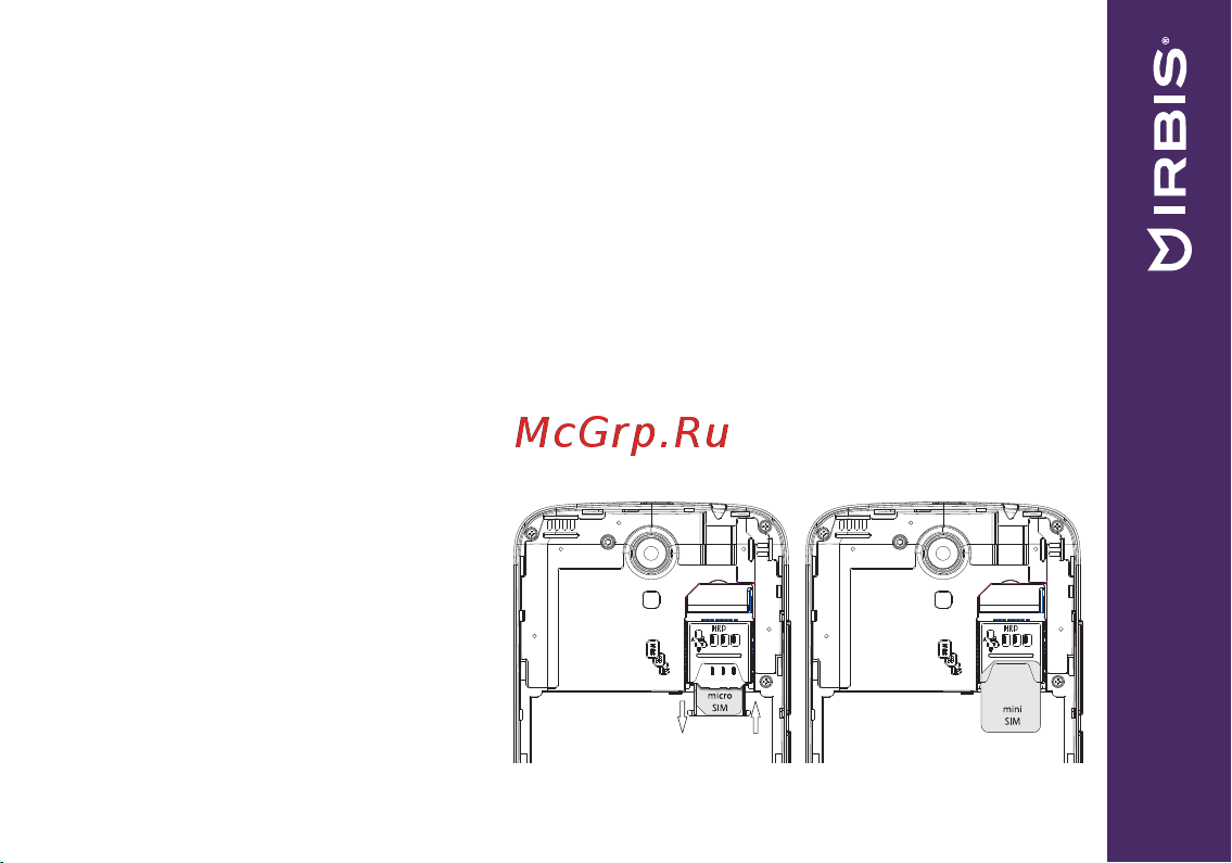 Irbis SP401 [9/24] Аксессуары и аккумулятор
